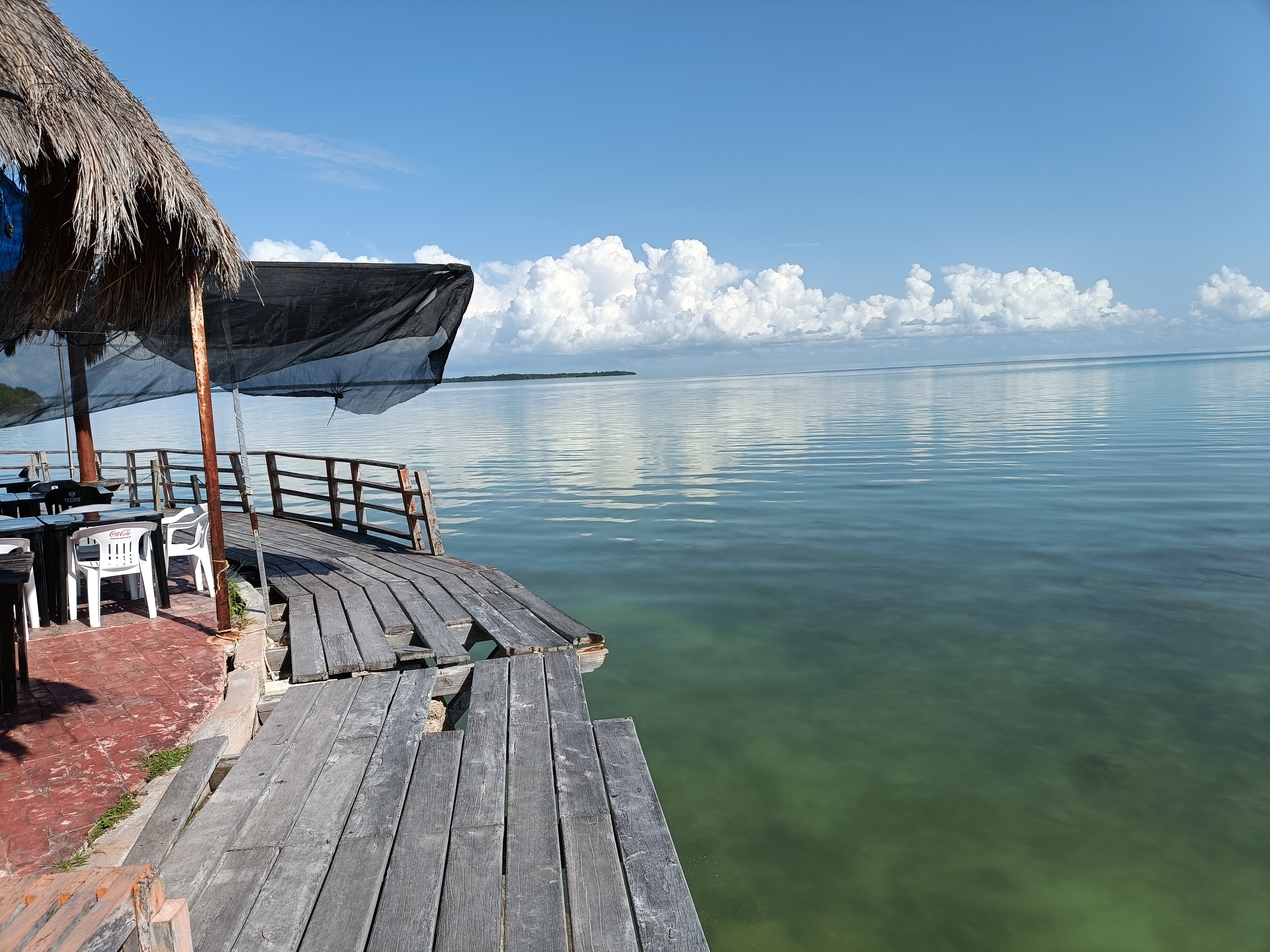 Restaurante La Aurora cocina del caribe image 4