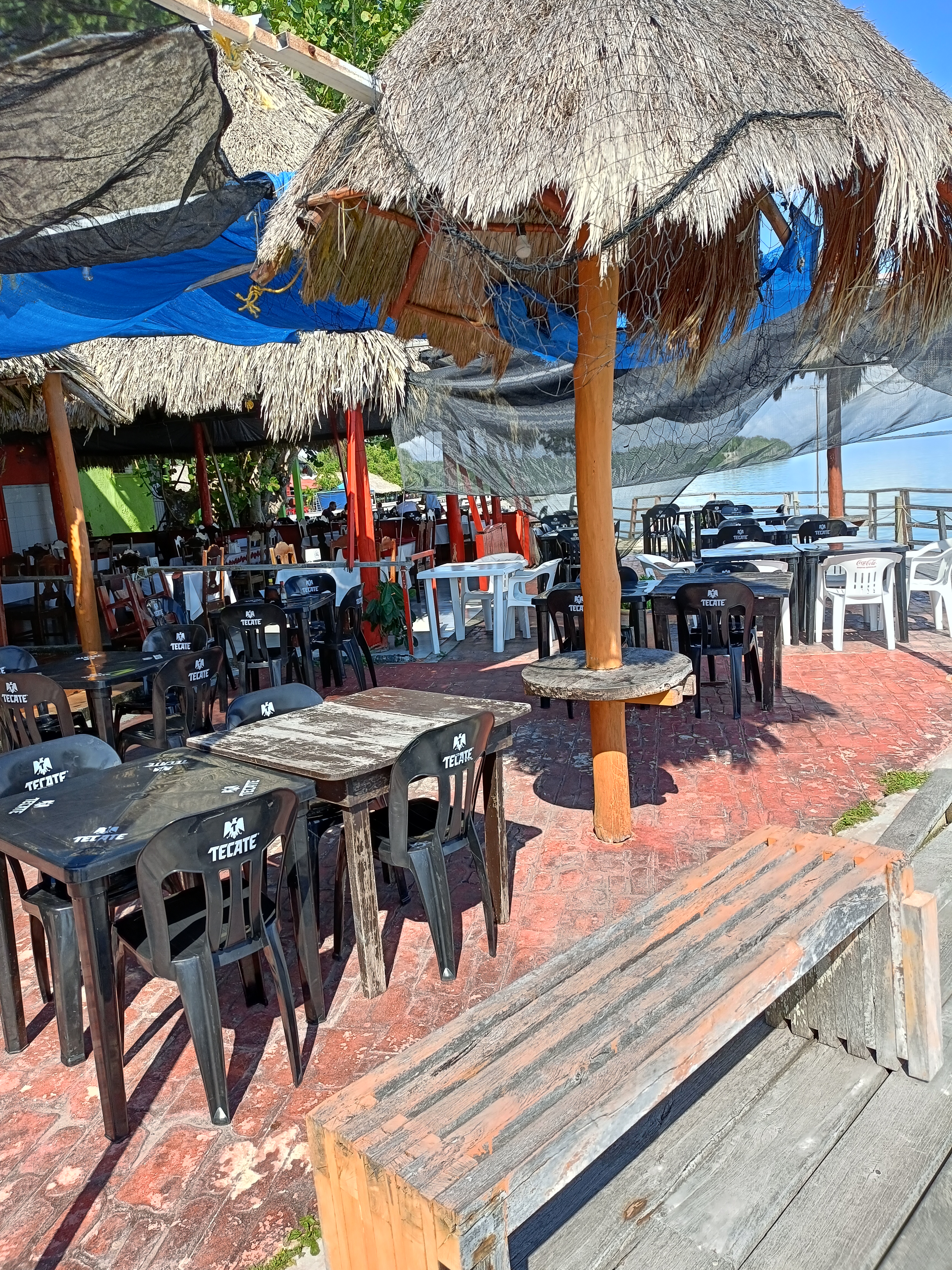 Restaurante La Aurora cocina del caribe image 6