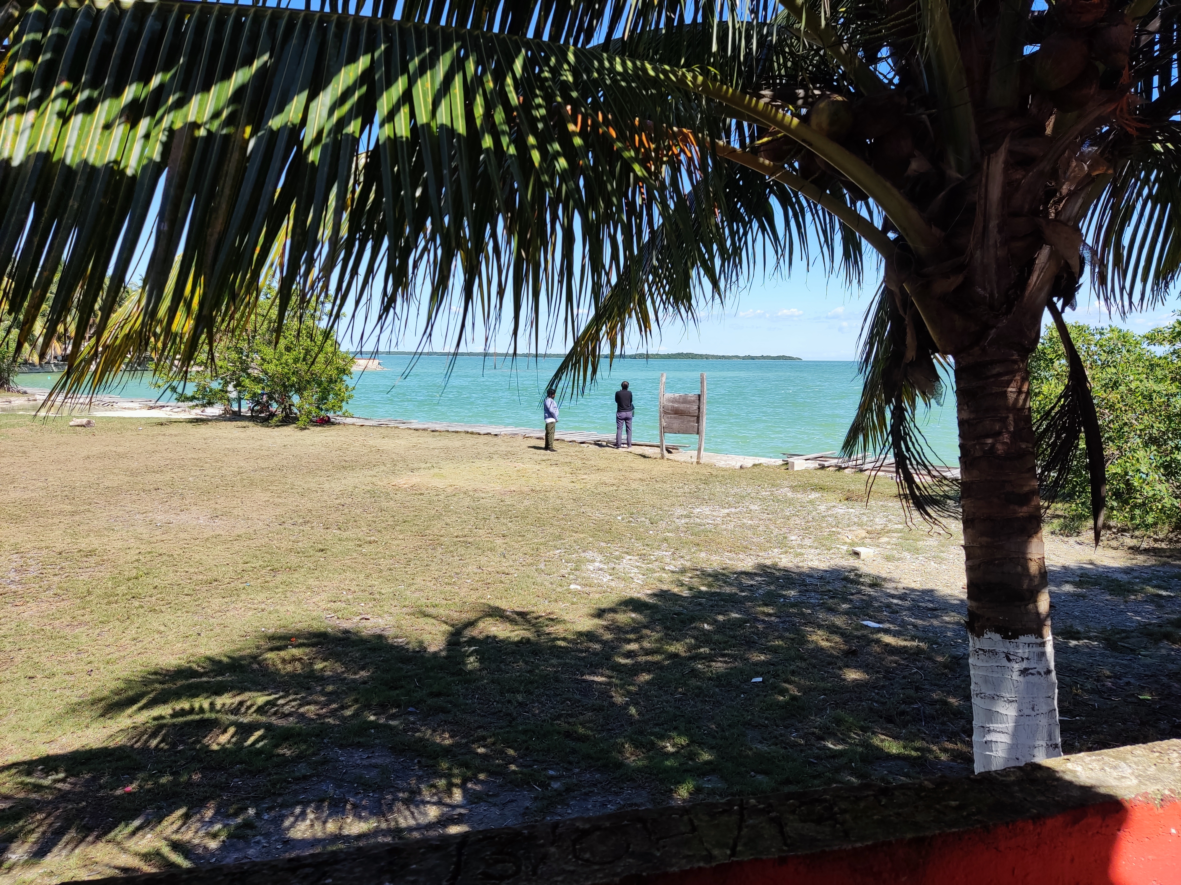 Loyas Restaurant image 3