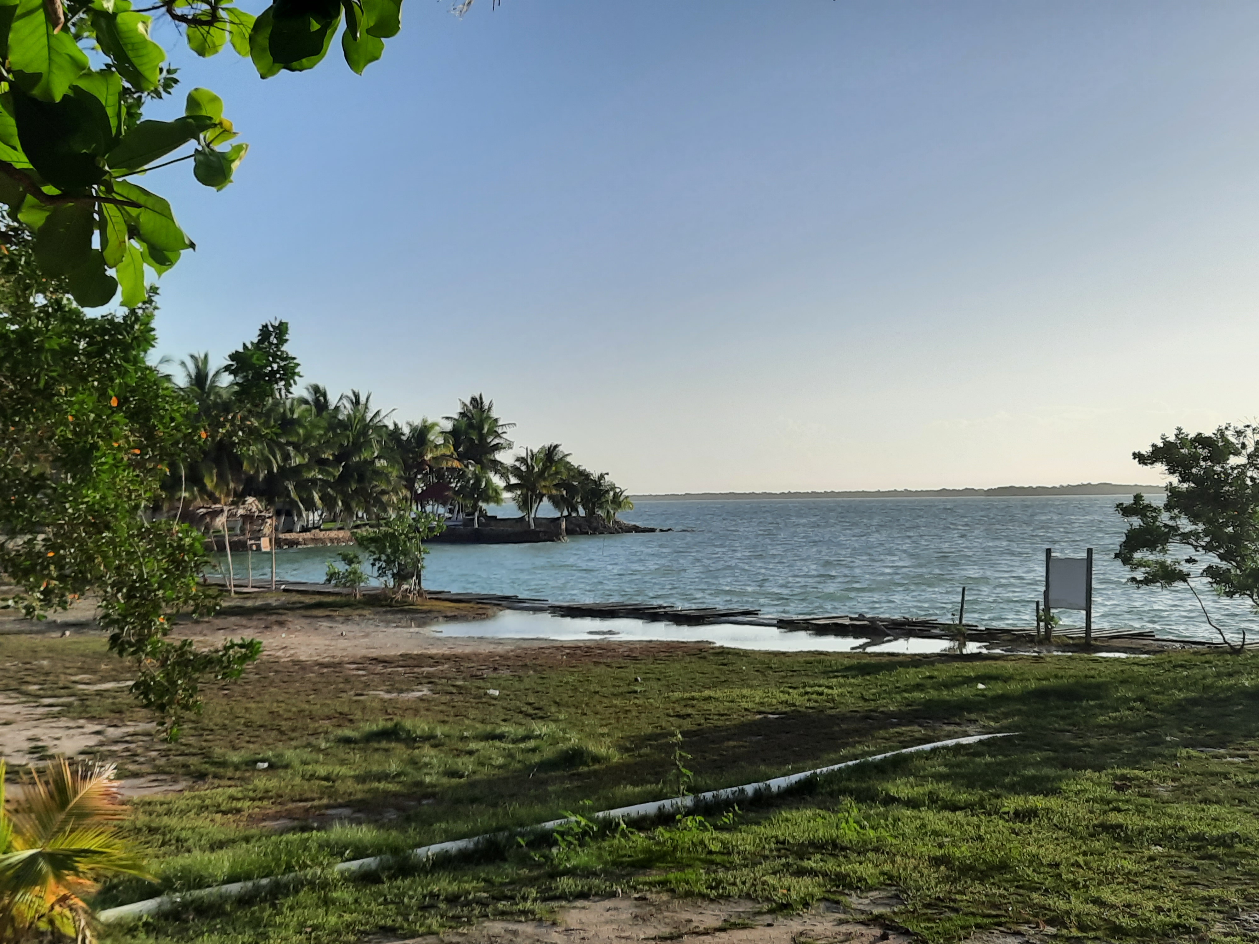 Loyas Restaurant image 4