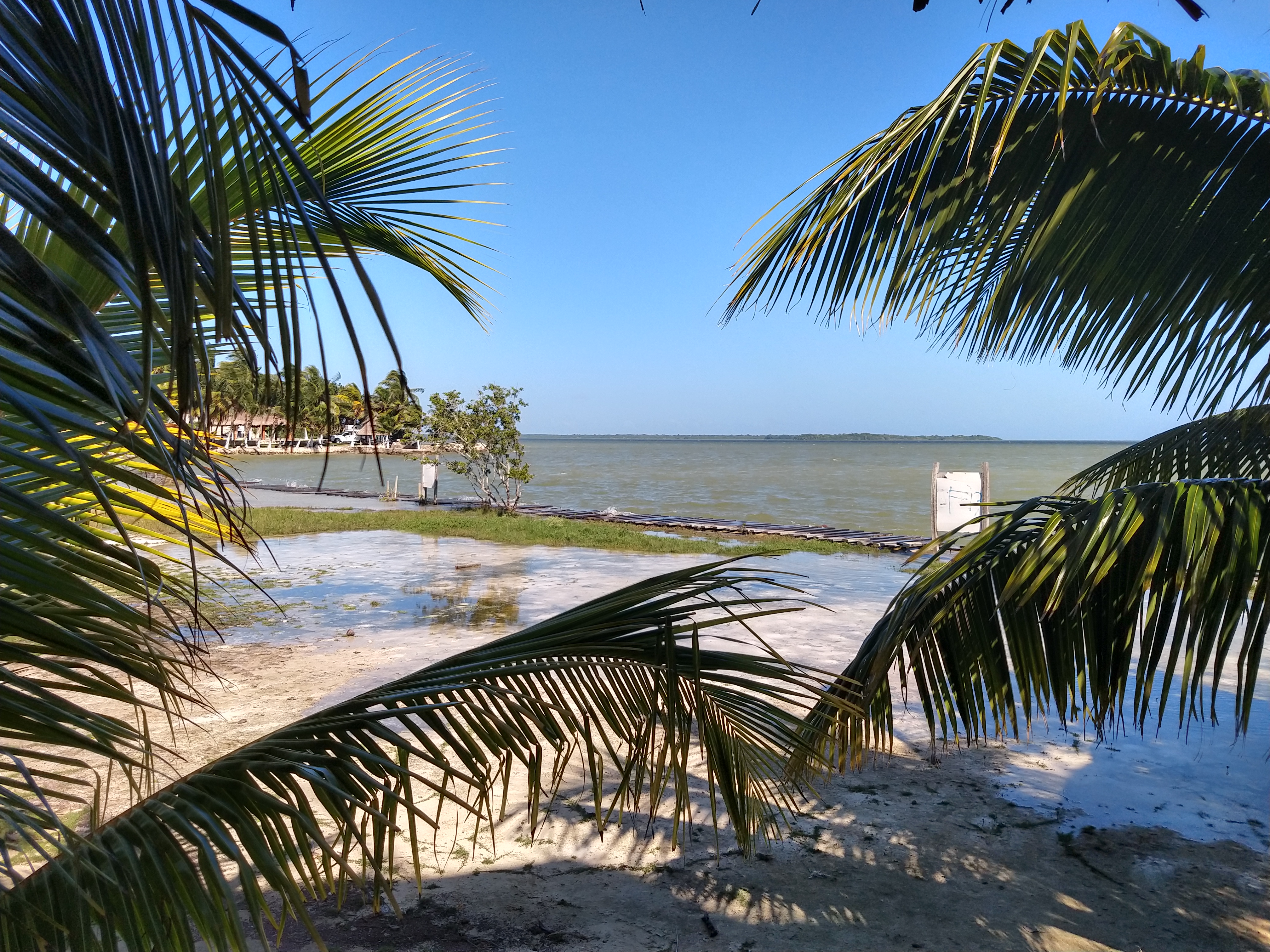 Loyas Restaurant image 7