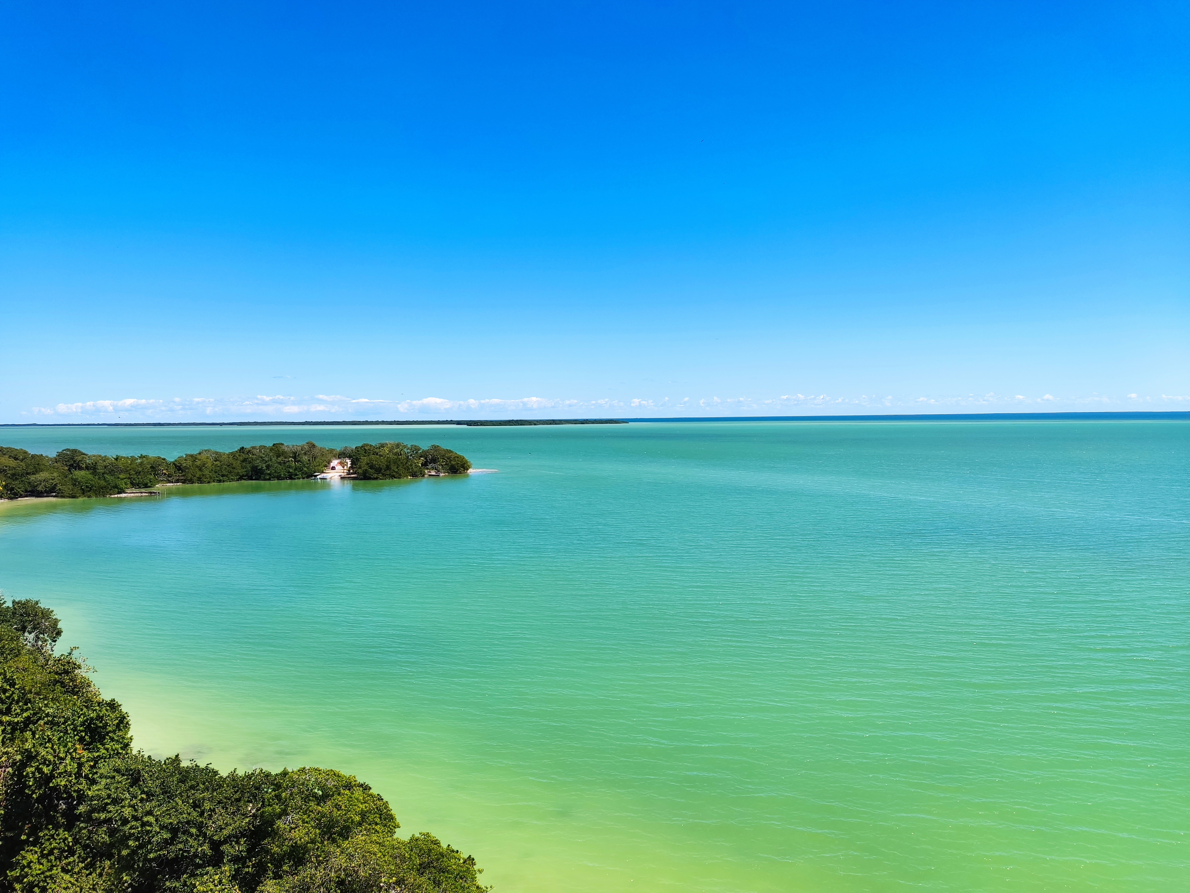 Loyas Restaurant image 9