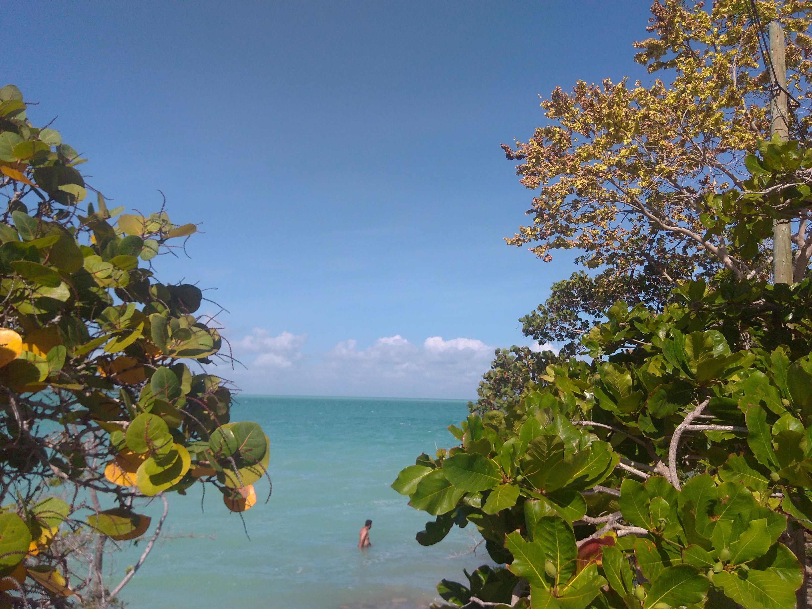 Restaurante "La Abuela Juanita" image 10