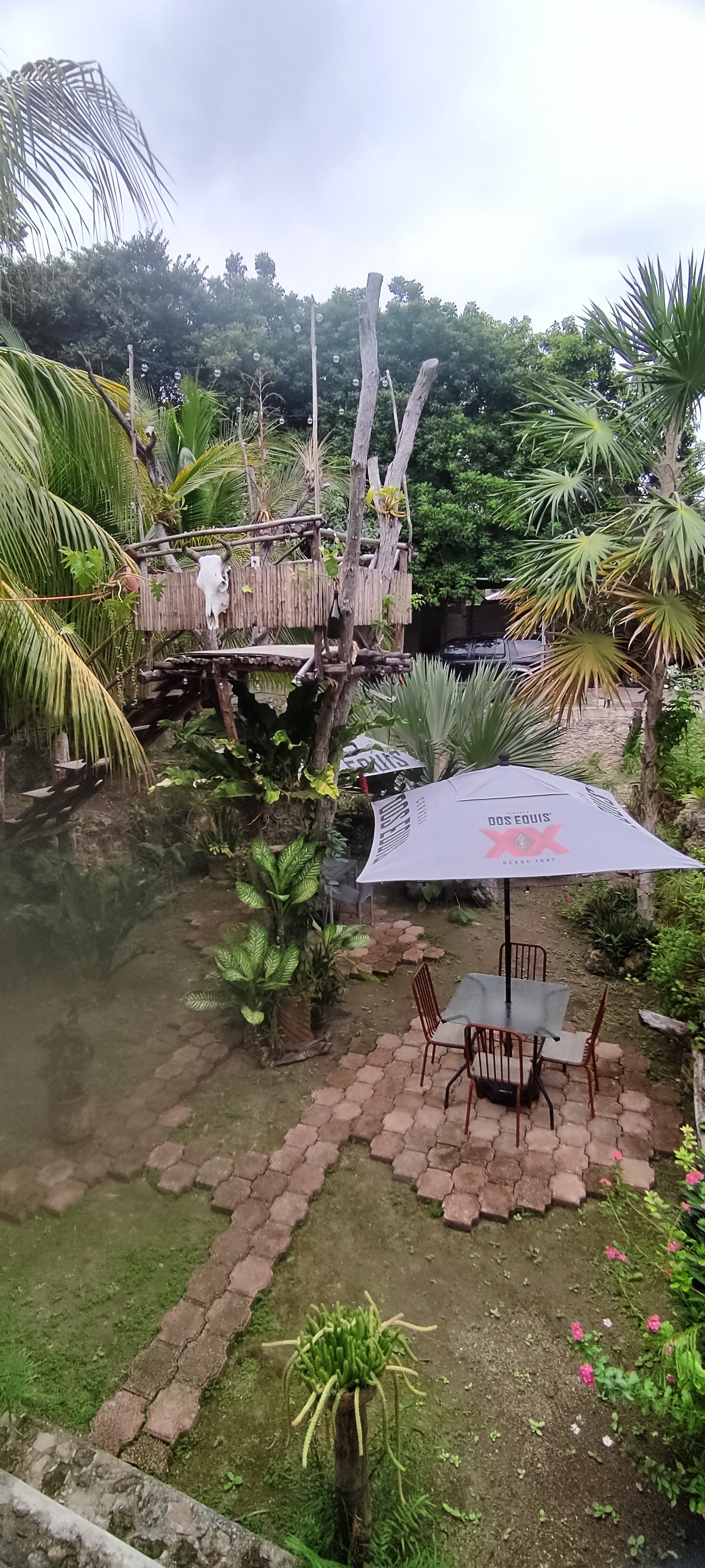 Restaurante TACUARILLO'S image 3