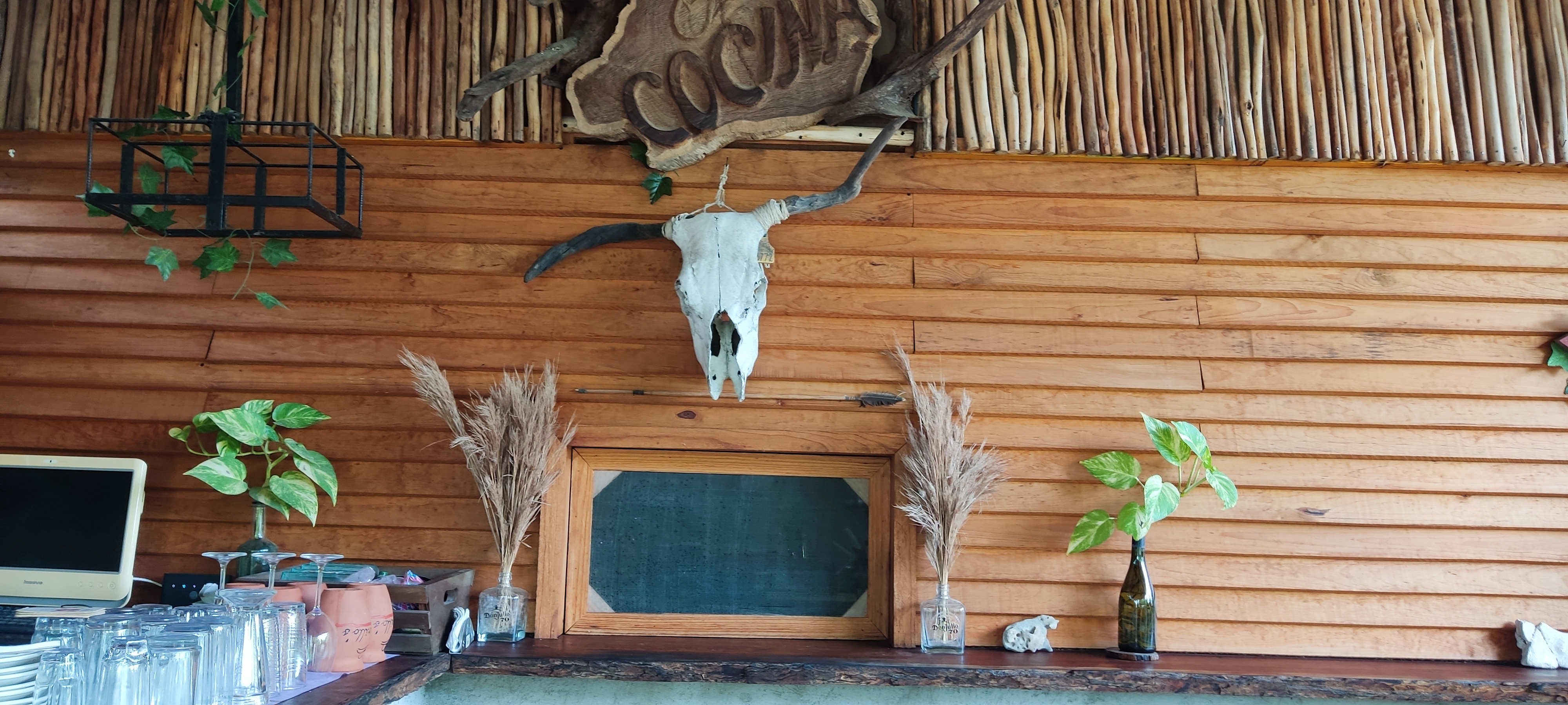 Restaurante TACUARILLO'S image 6