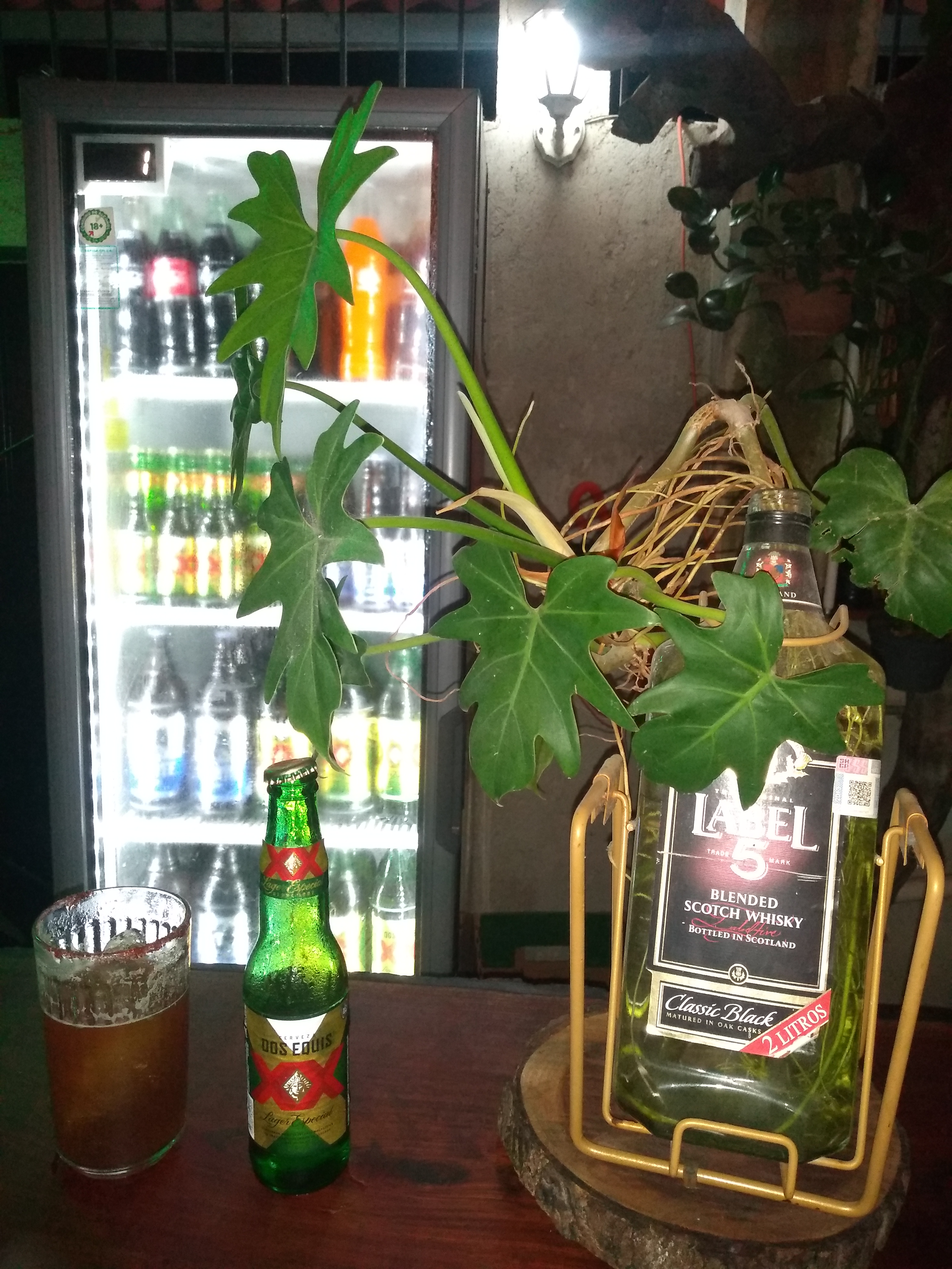 Restaurante TACUARILLO'S image 8