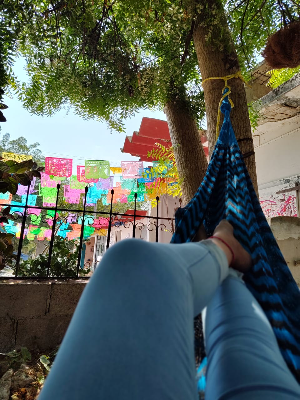 Restaurante/hostal yax-pixan image 7