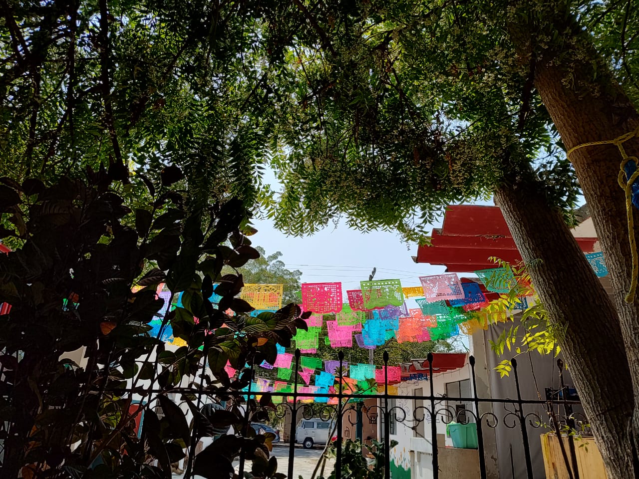 Restaurante/hostal yax-pixan image 8