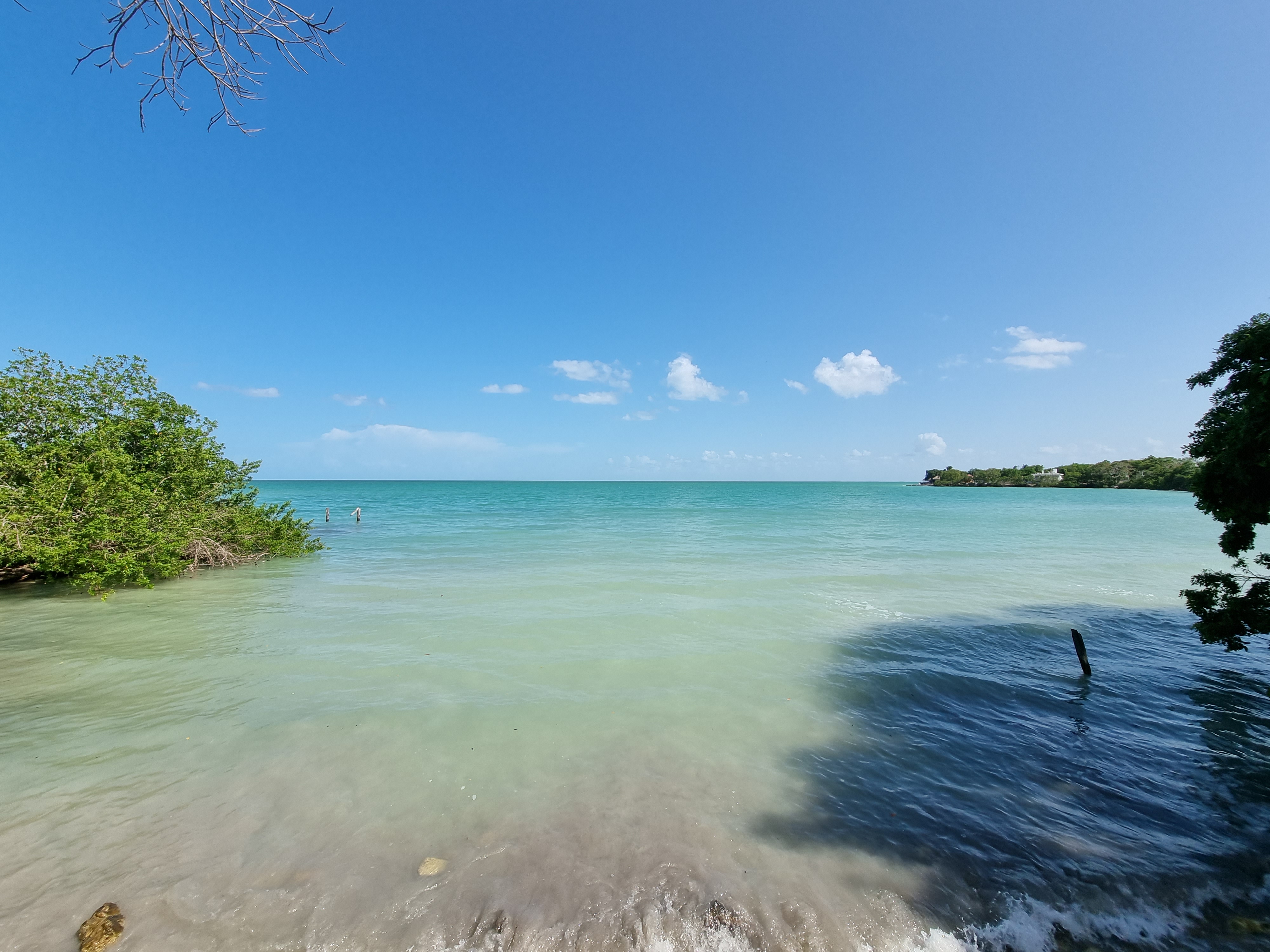Empanadas Doña Meche me encantaron están súper ricas image 5