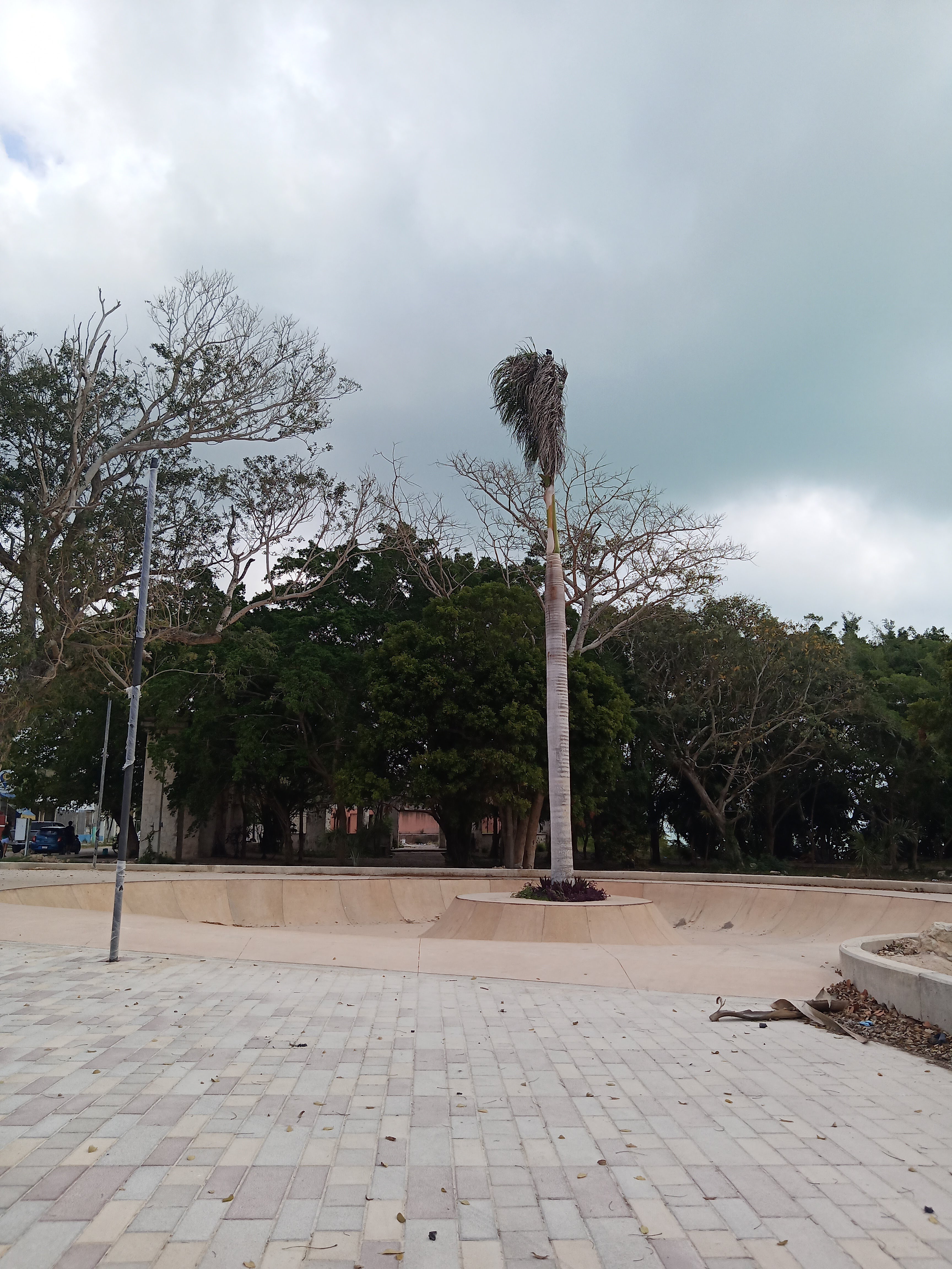 Empanadas Doña Meche me encantaron están súper ricas image 10