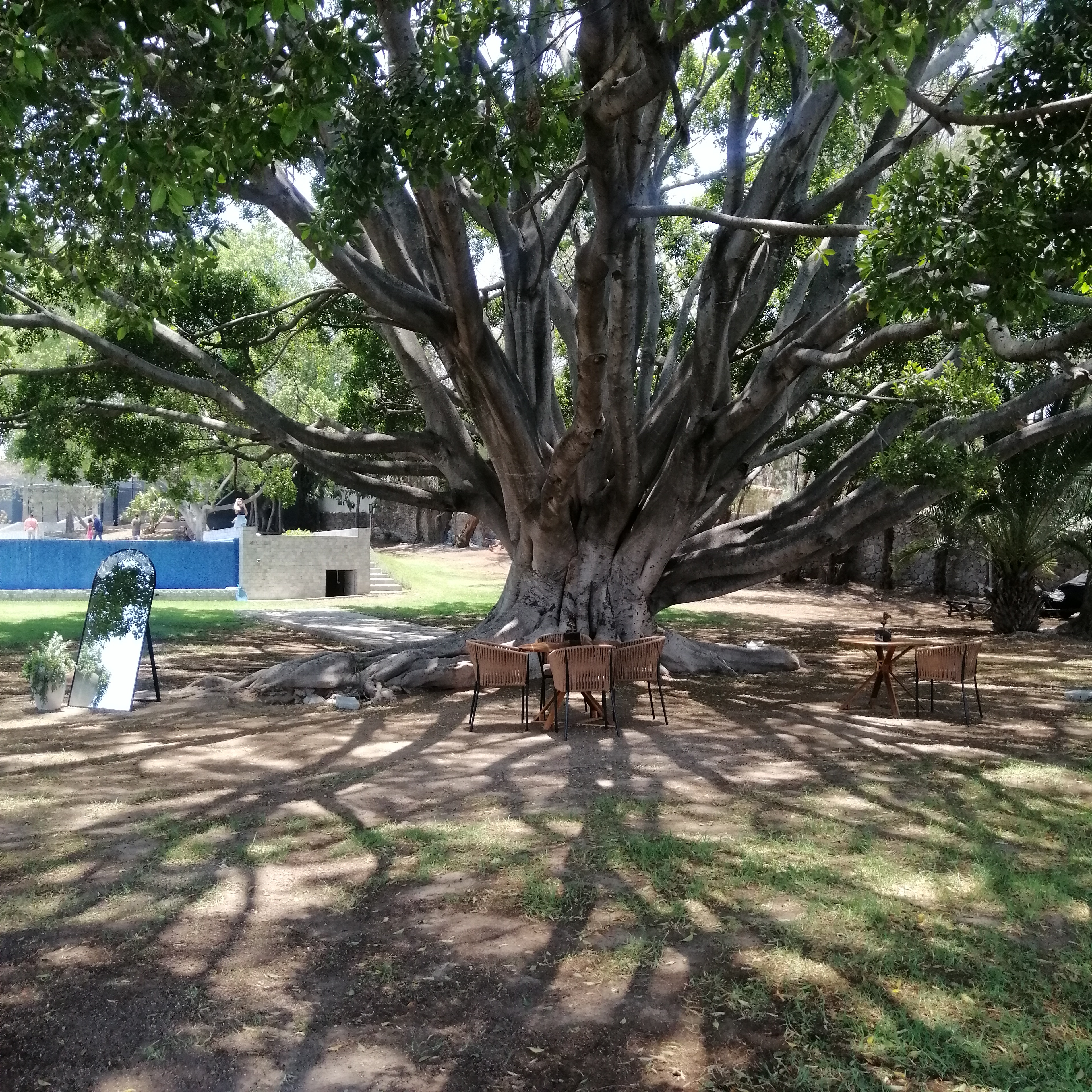 El Laurel Lake image 8