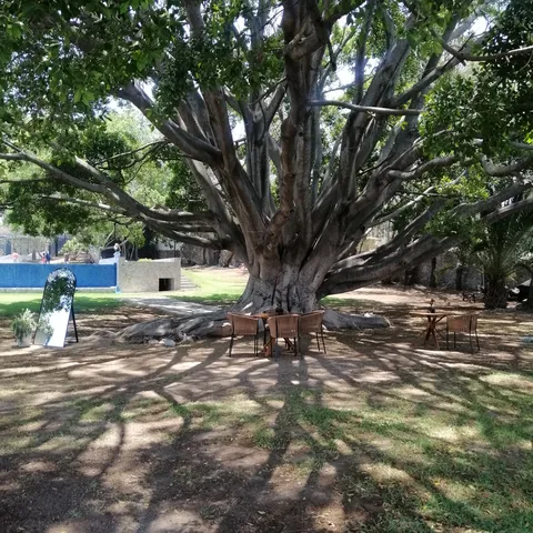 El Laurel Lake image 8