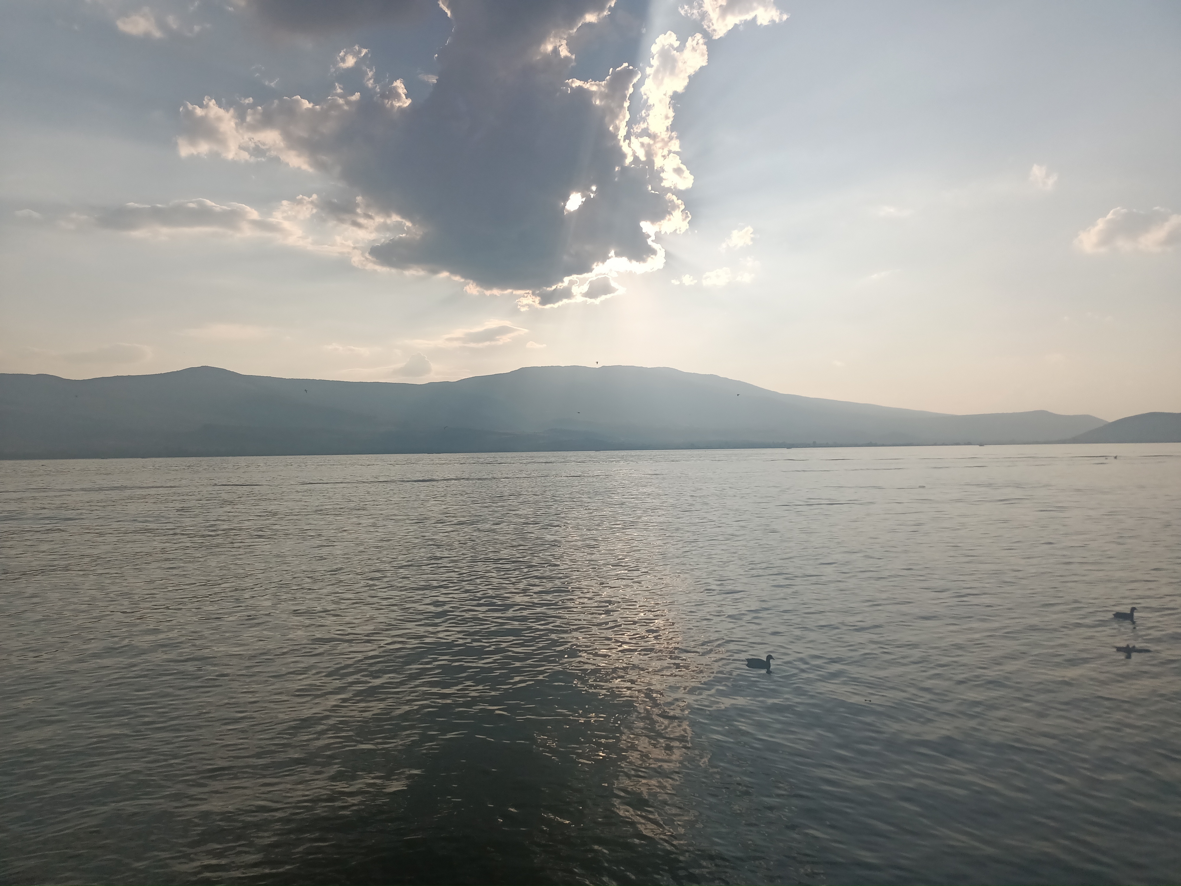 El Laurel Lake image 9