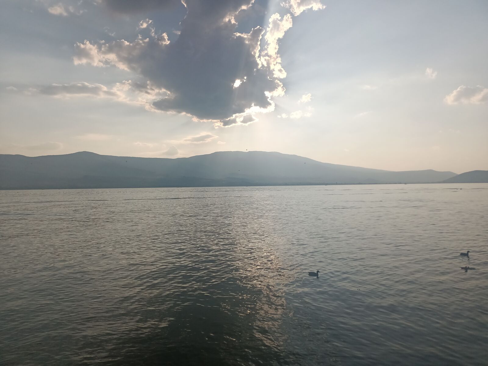 El Laurel Lake image 9