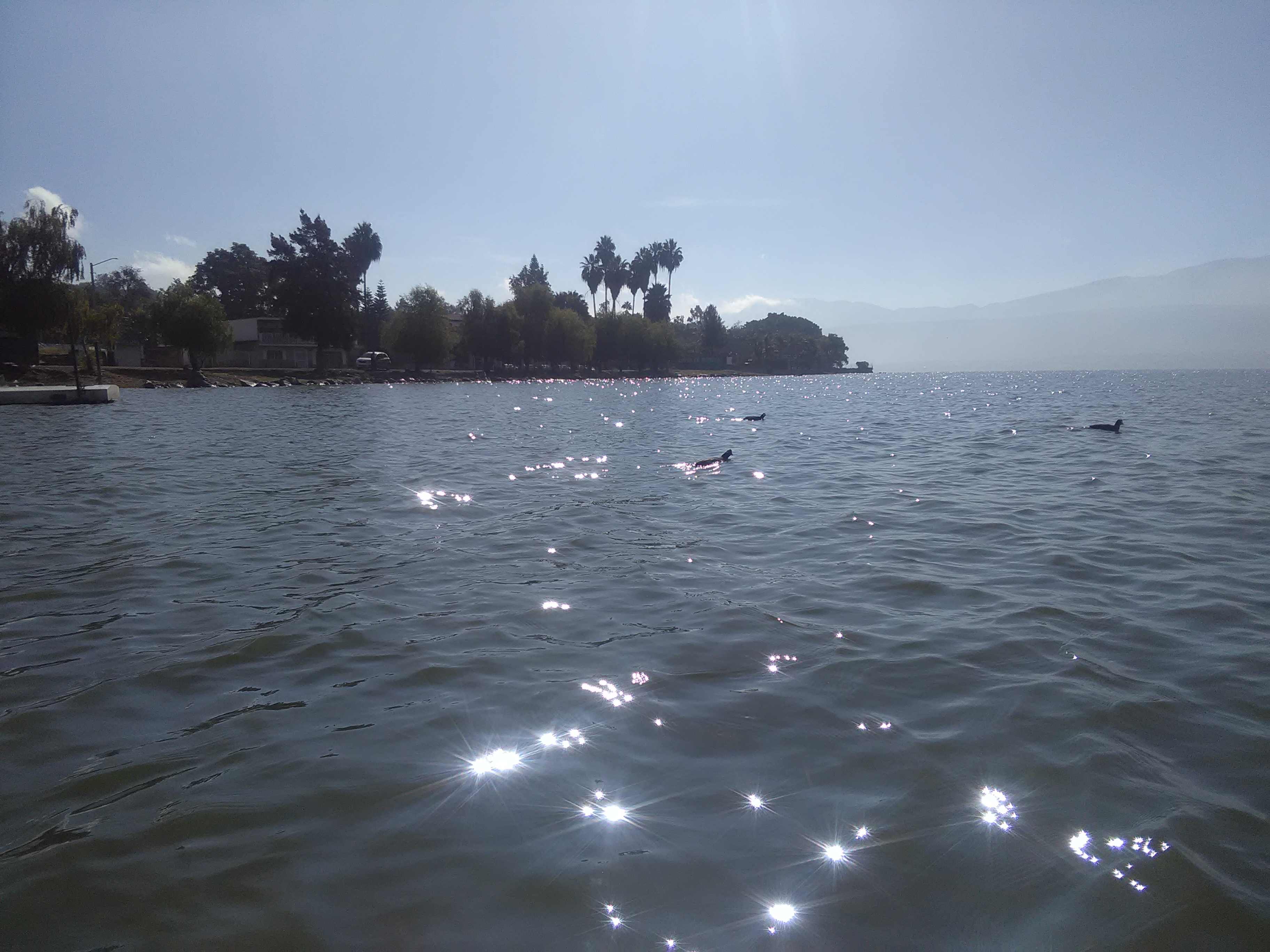 Restaurante Bar Zapata image 10