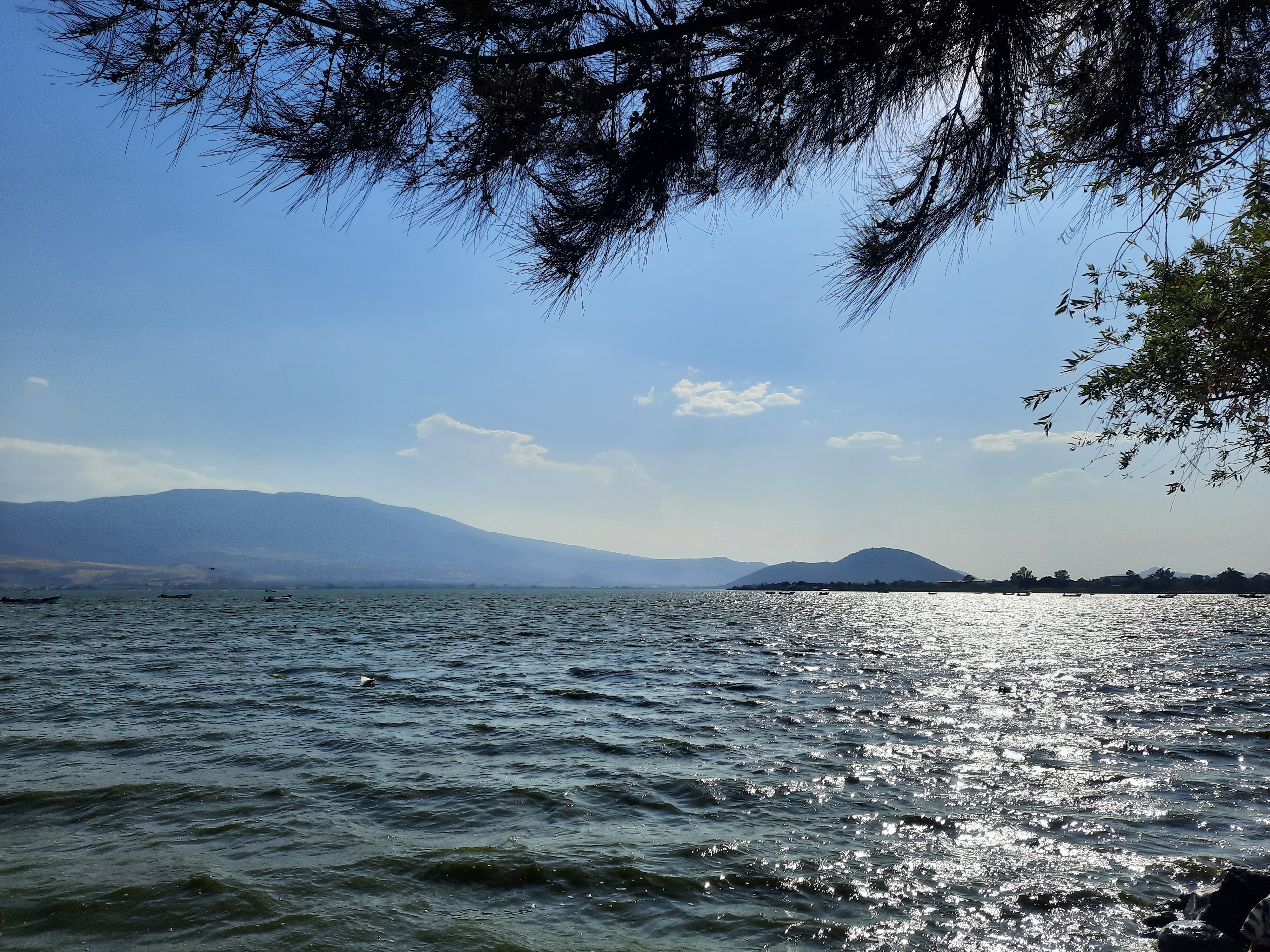 Restaurant 3 Reyes de Cajititlán image 3