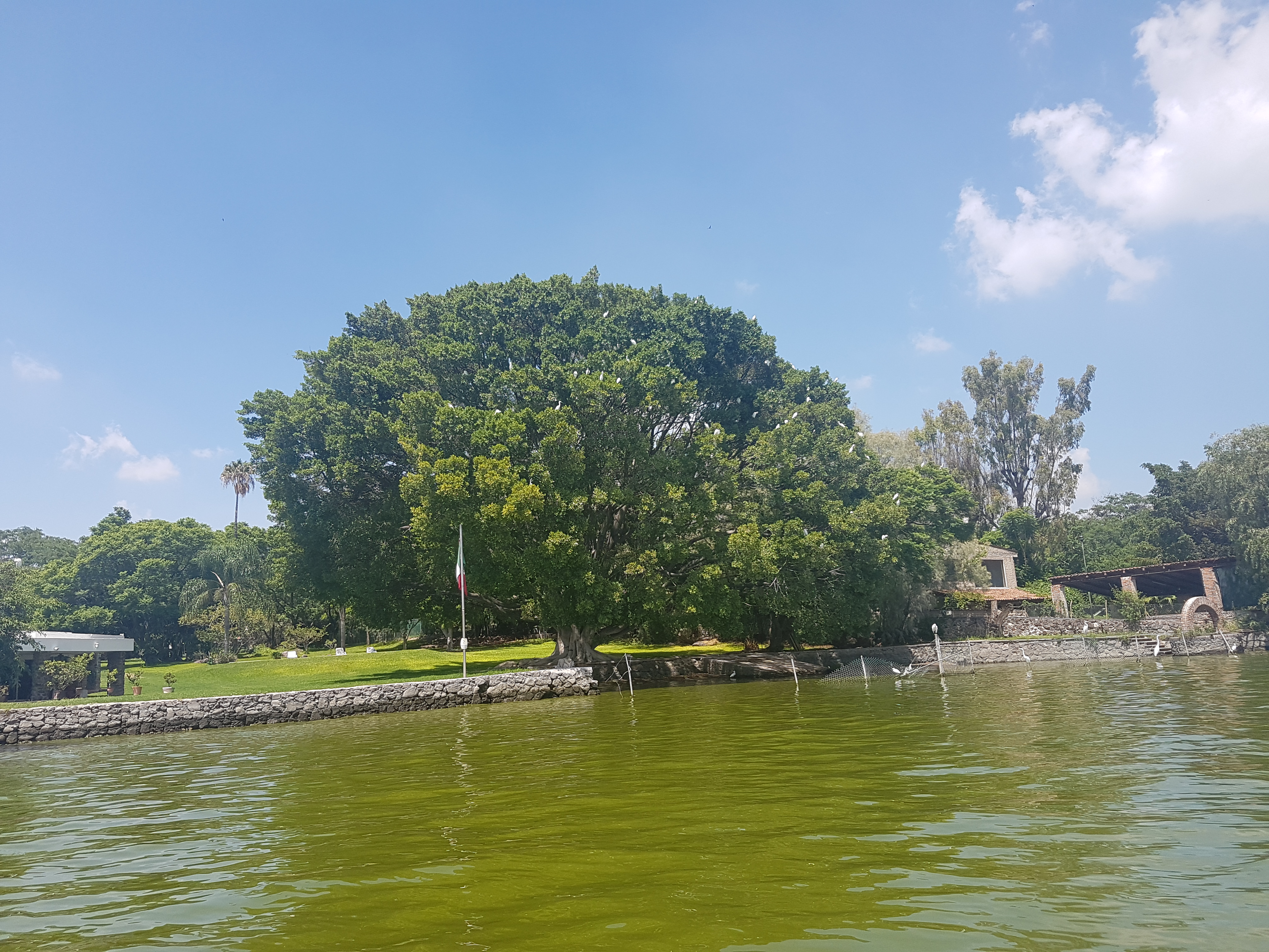 Restaurant 3 Reyes de Cajititlán image 10