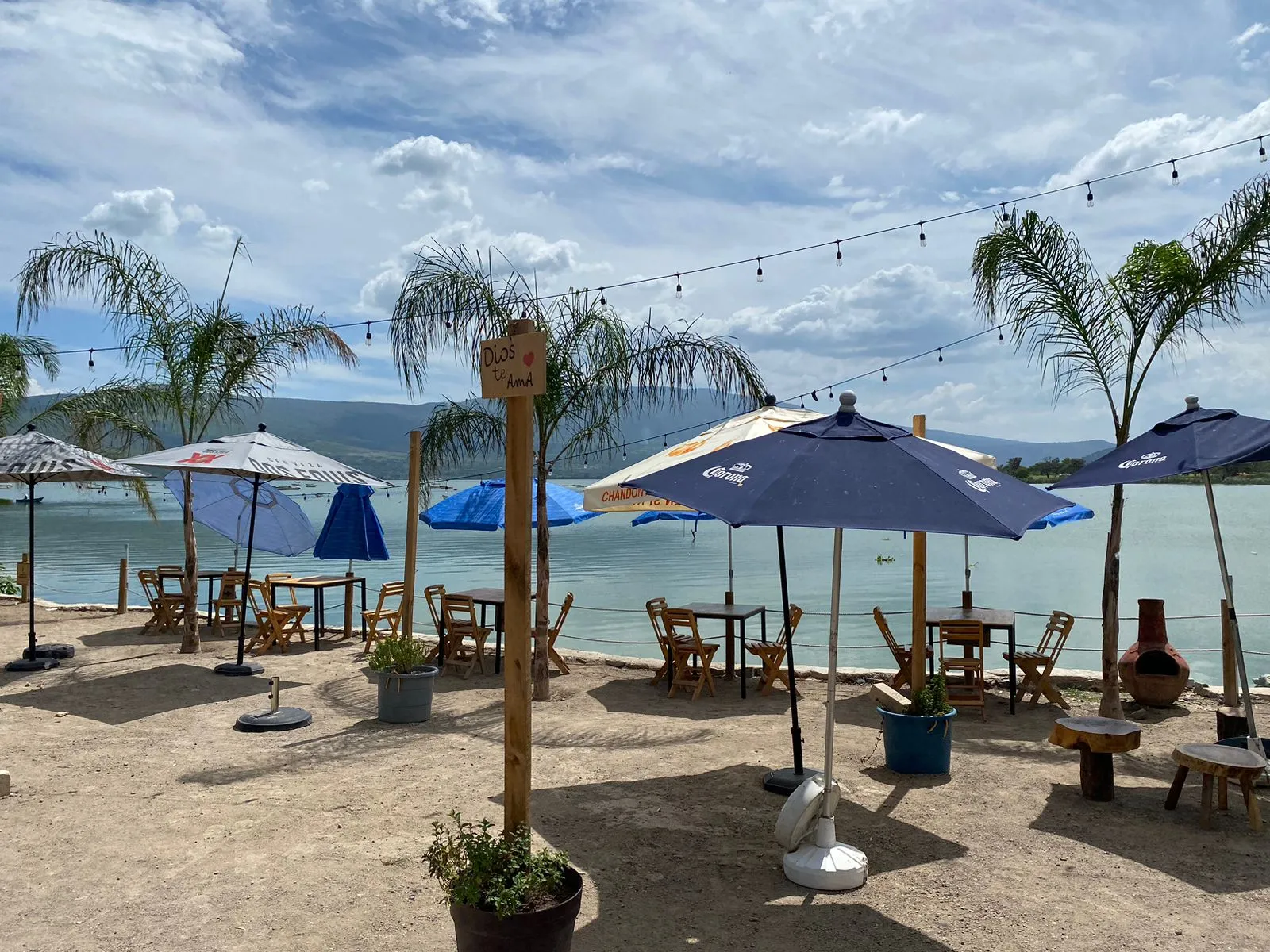 Aloha Caji image 3