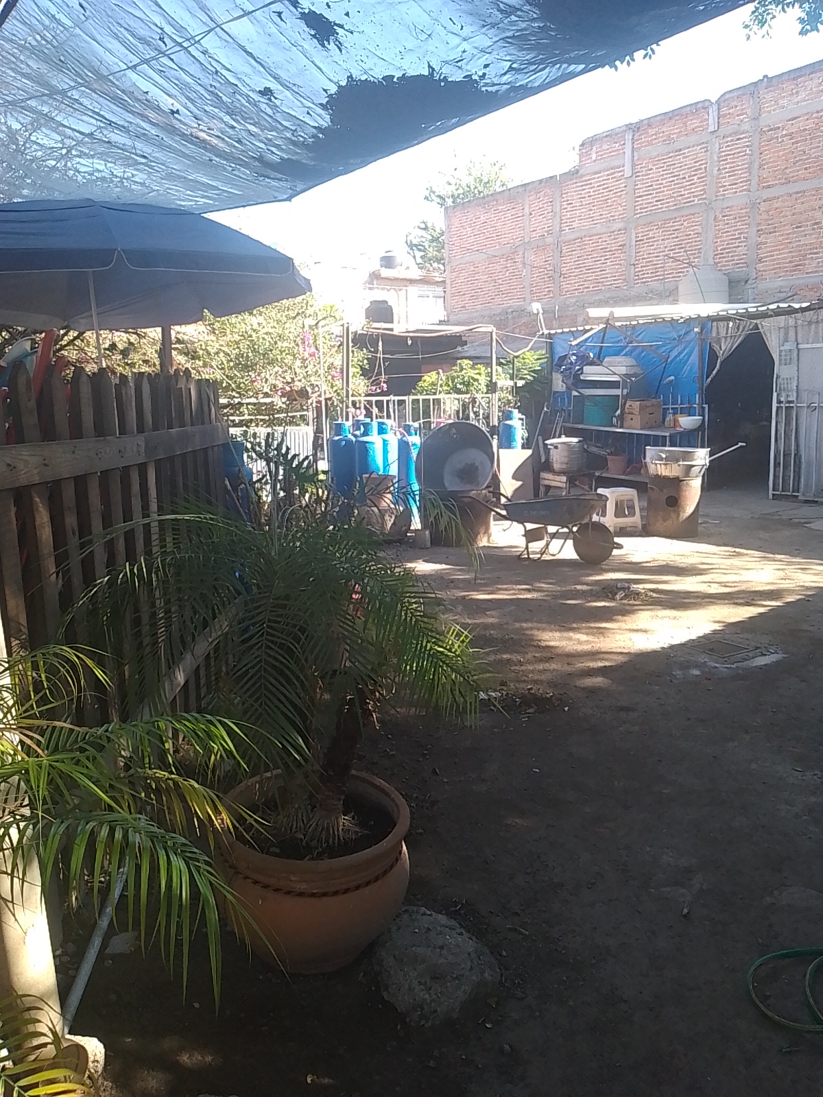 Terraza la seño image 1