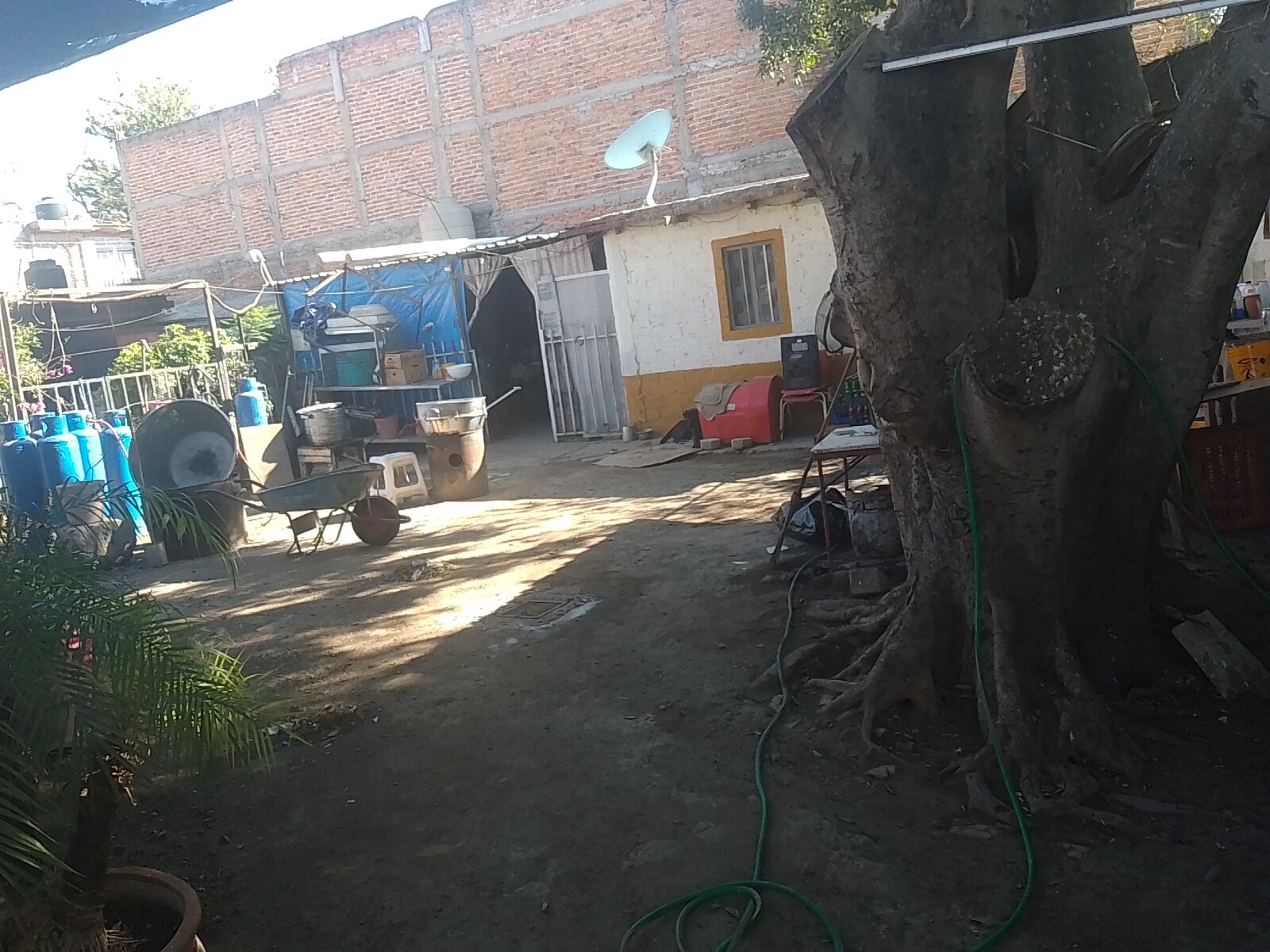 Terraza la seño image 5