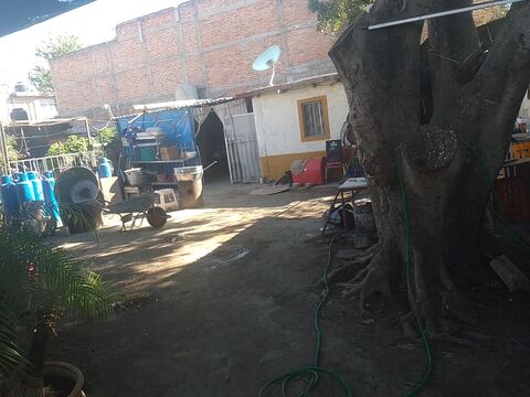 Terraza la seño image 5