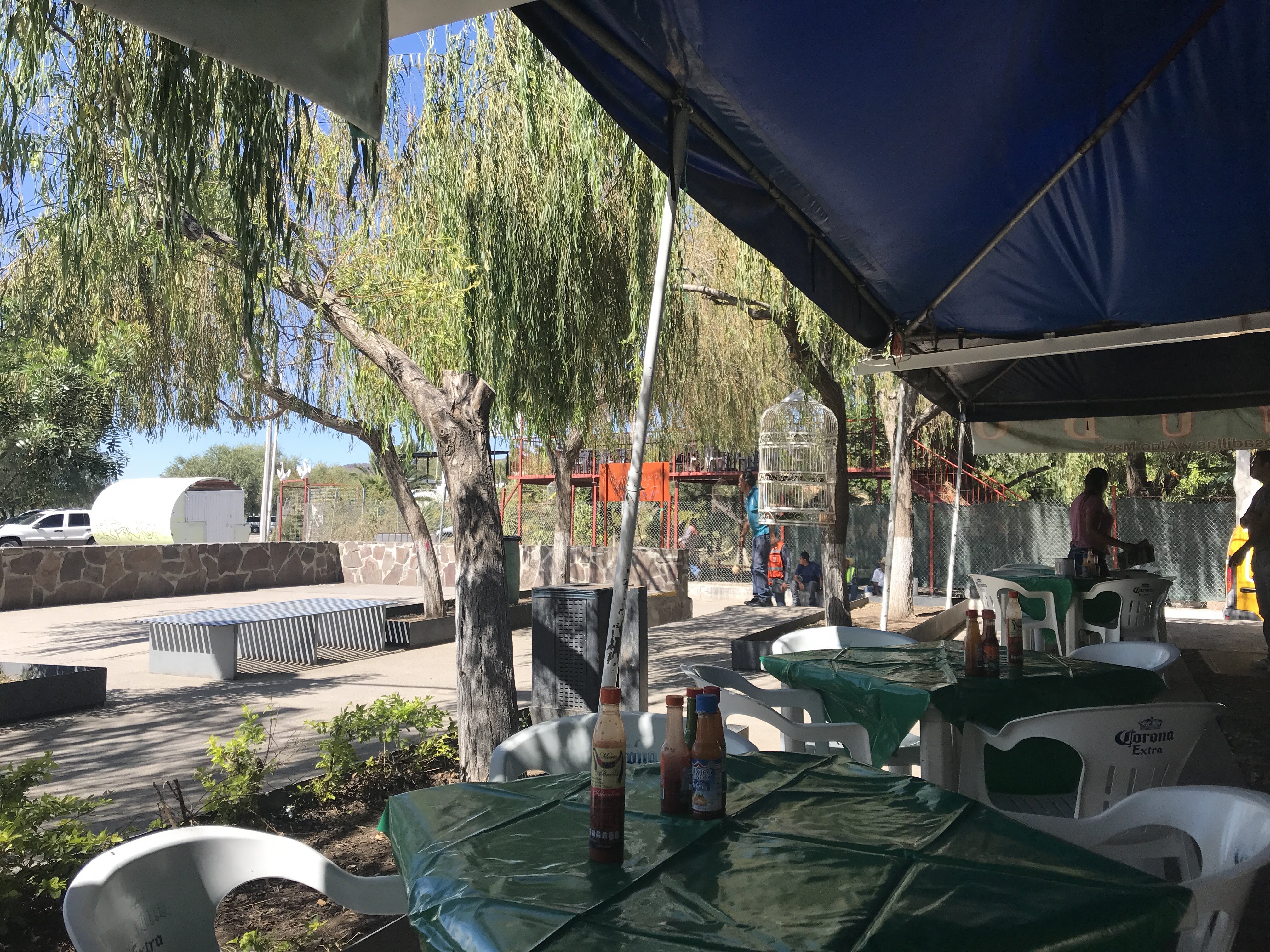 Terraza Los Sauces image 1