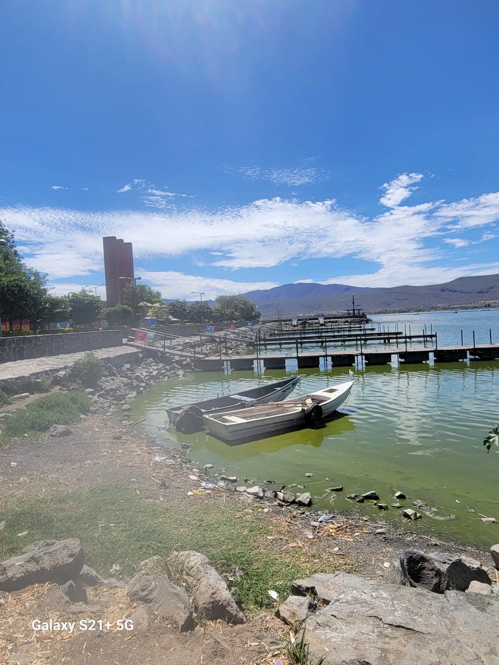 Terraza Los Sauces image 3