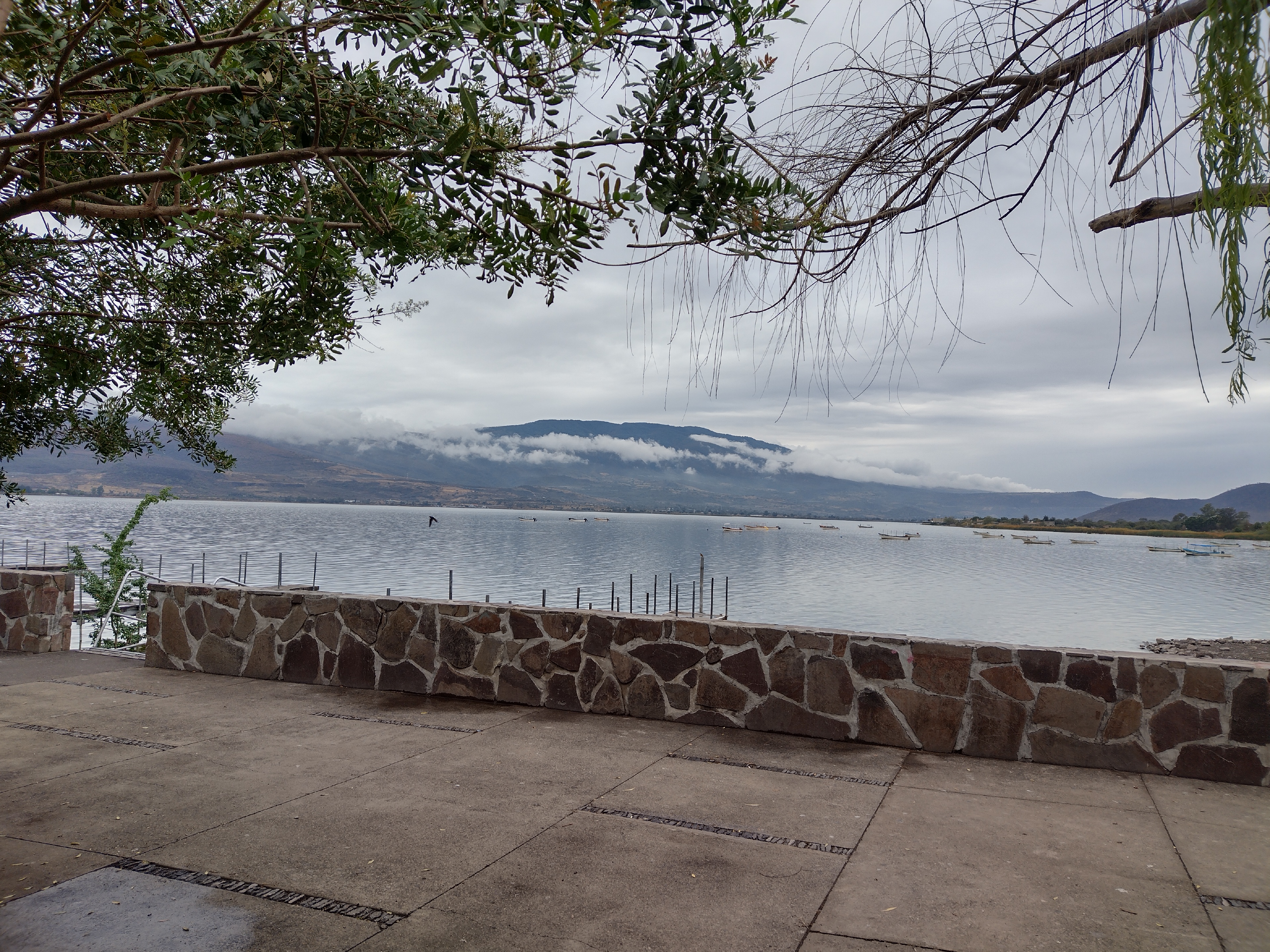 Terraza Los Sauces image 6