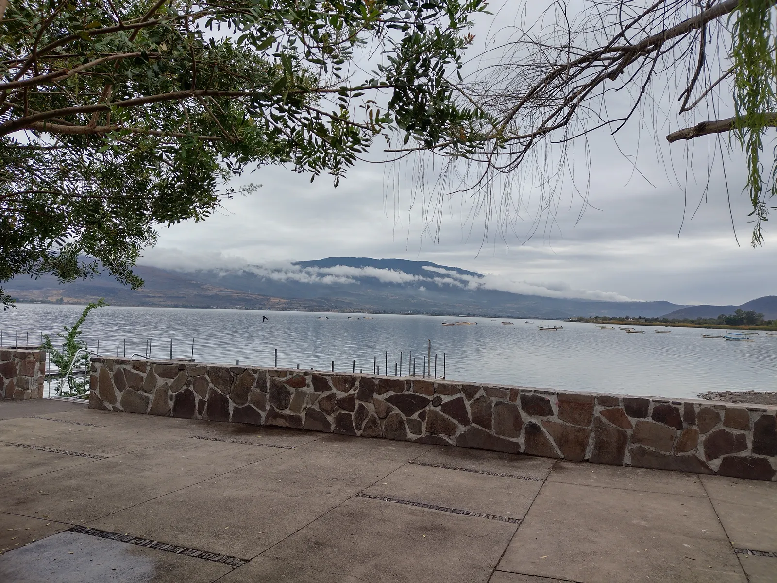 Terraza Los Sauces image 6