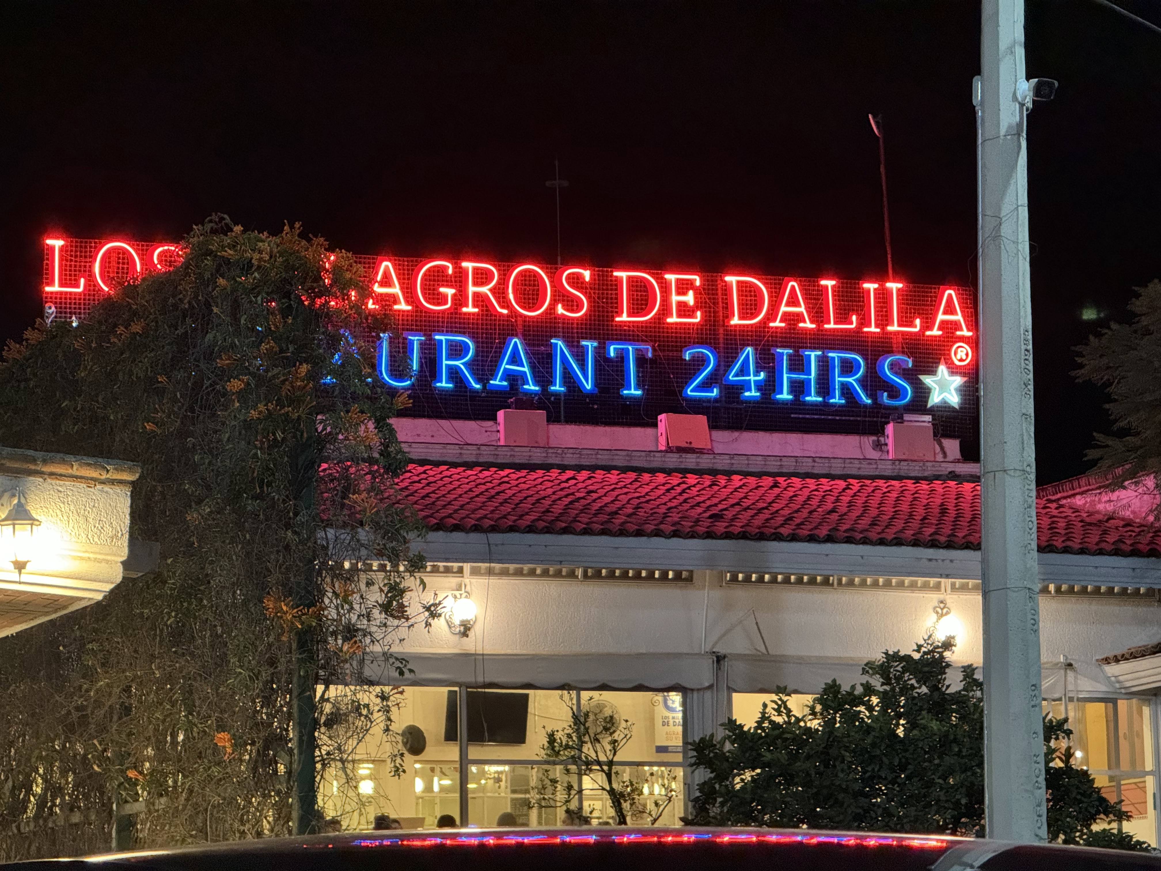 Los Milagros de Dalila image 5