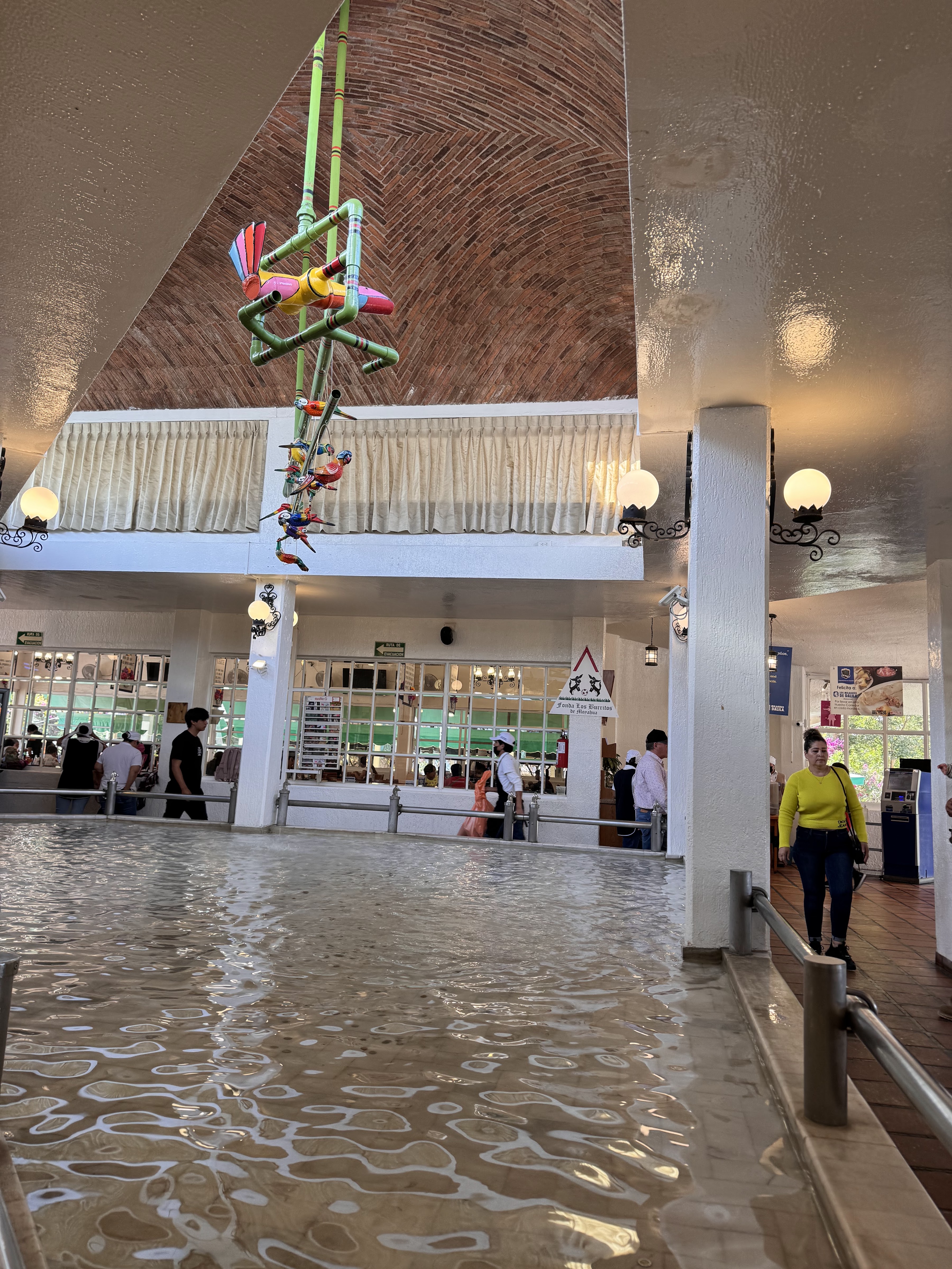 Los Milagros de Dalila image 9