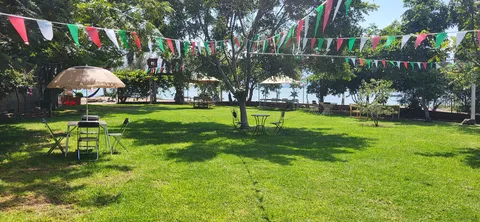 LA SELVA image 5