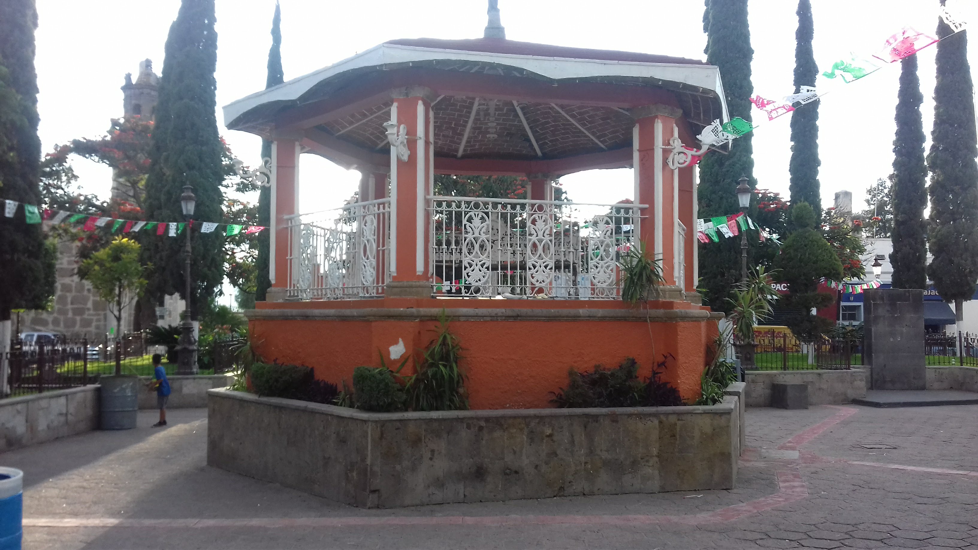 Pollos Rostizados "ALEX"de Cajititlán image 3