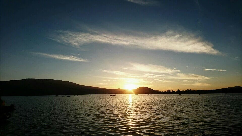 Pollos Rostizados "ALEX"de Cajititlán image 6