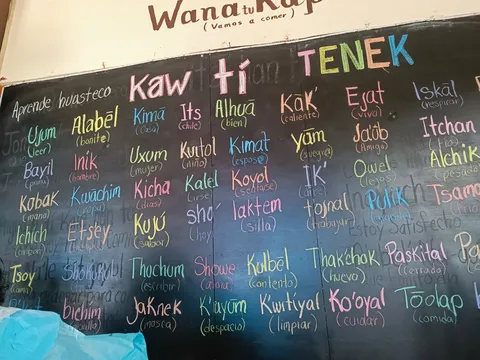 Kapul image 5