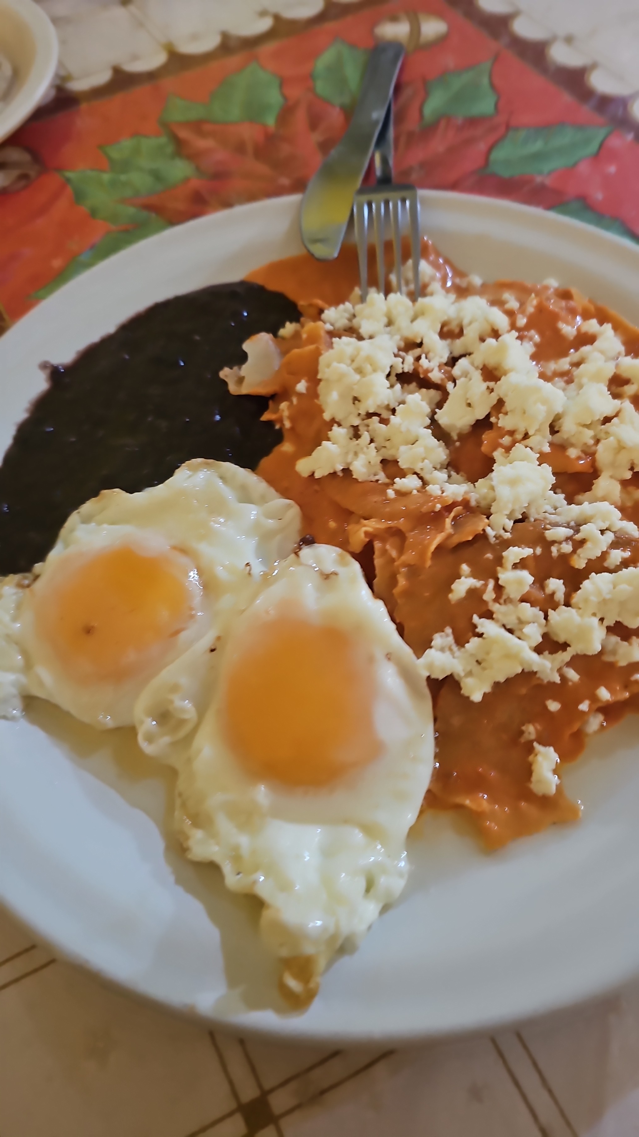 Restaurant "Carmelita " image 2