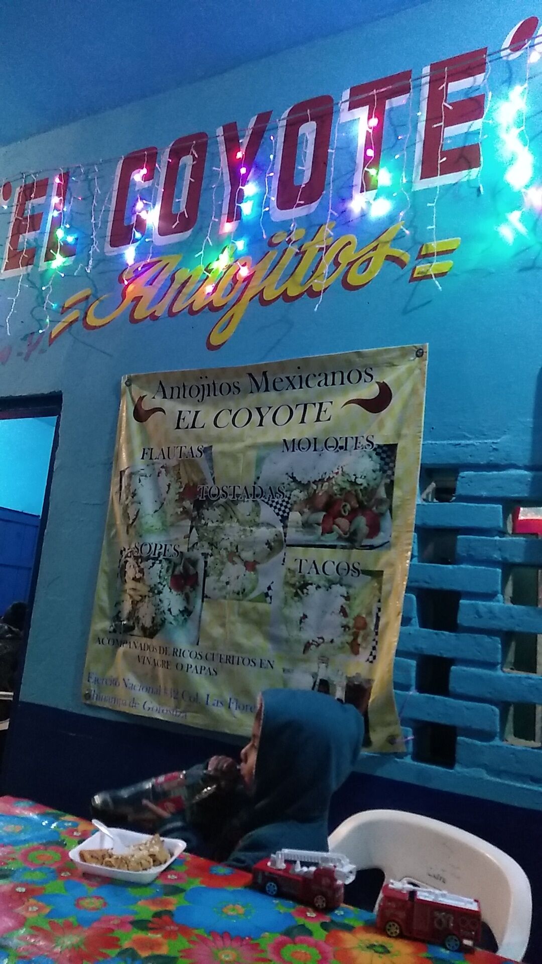 El coyote image 1