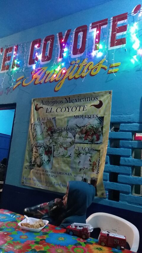 El coyote image 1