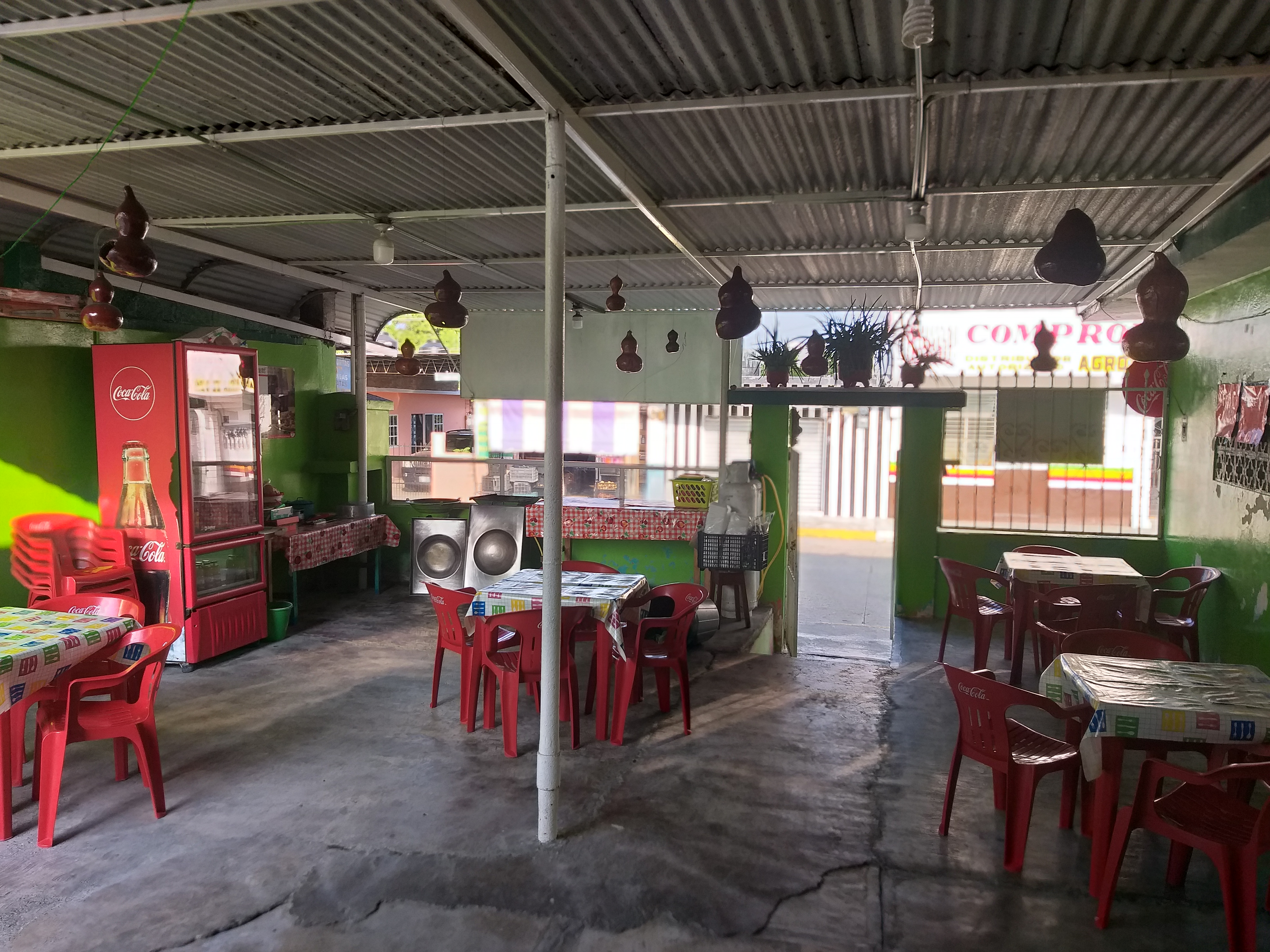 Los Guayulitos image 4