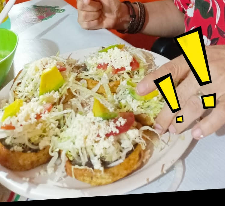 Los Guayulitos image 5