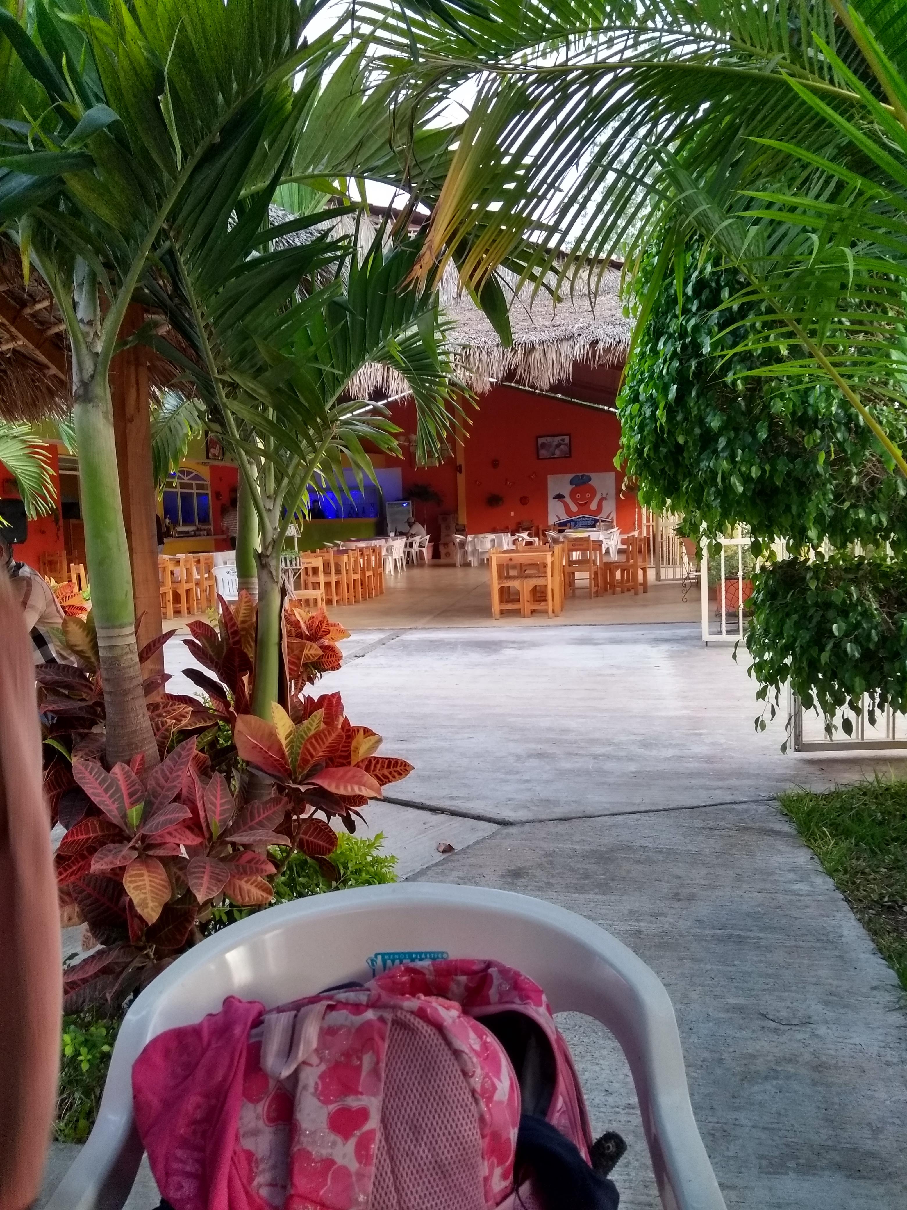 Restaurante "El Muchacho Guerrerense" image 4