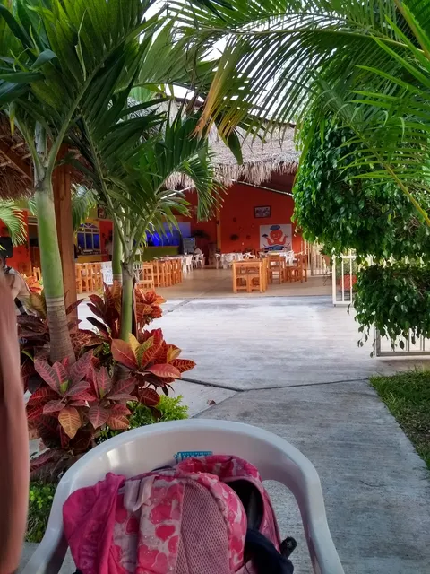 Restaurante "El Muchacho Guerrerense" image 4