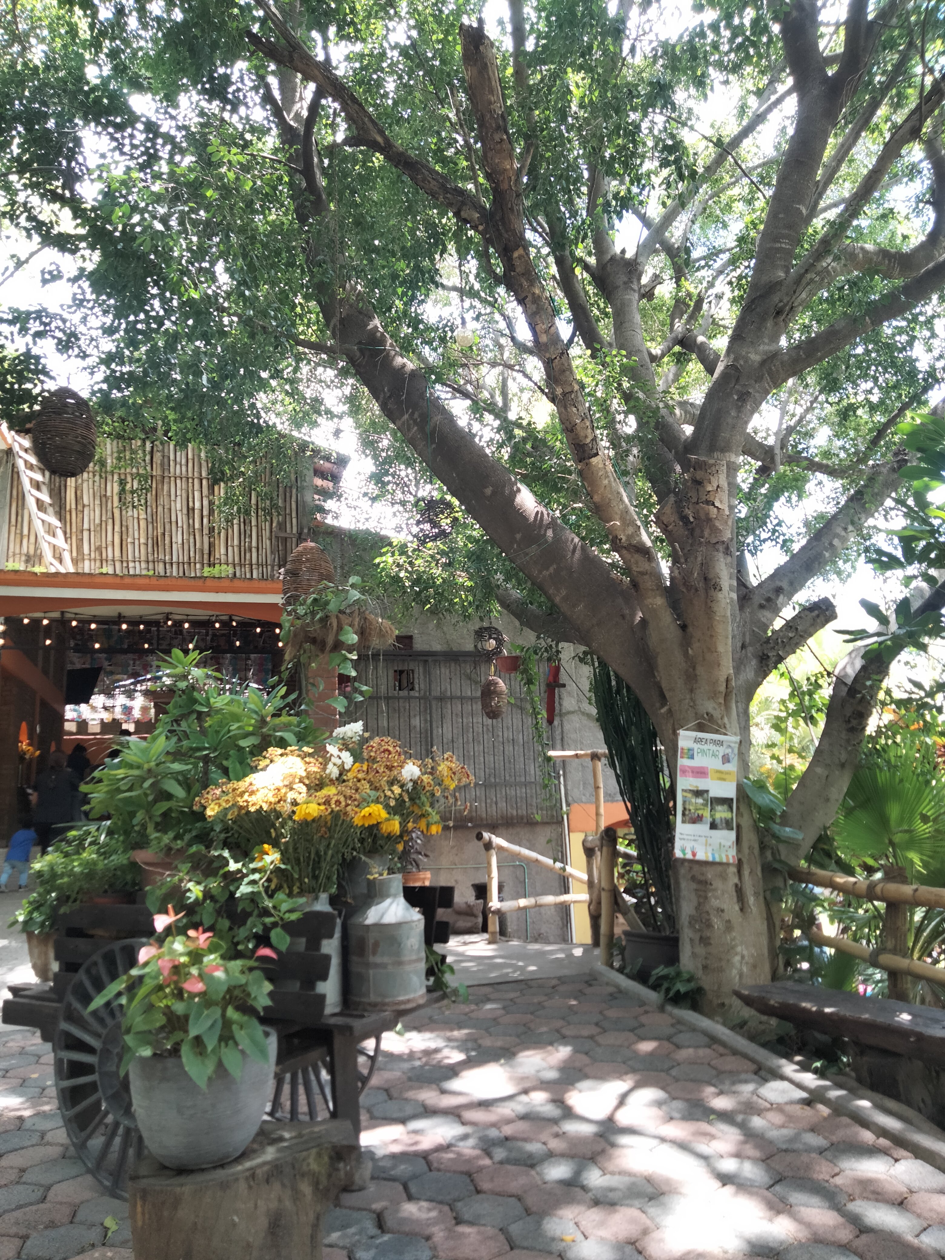 El Huamuchil Restaurante Parrilla image 6