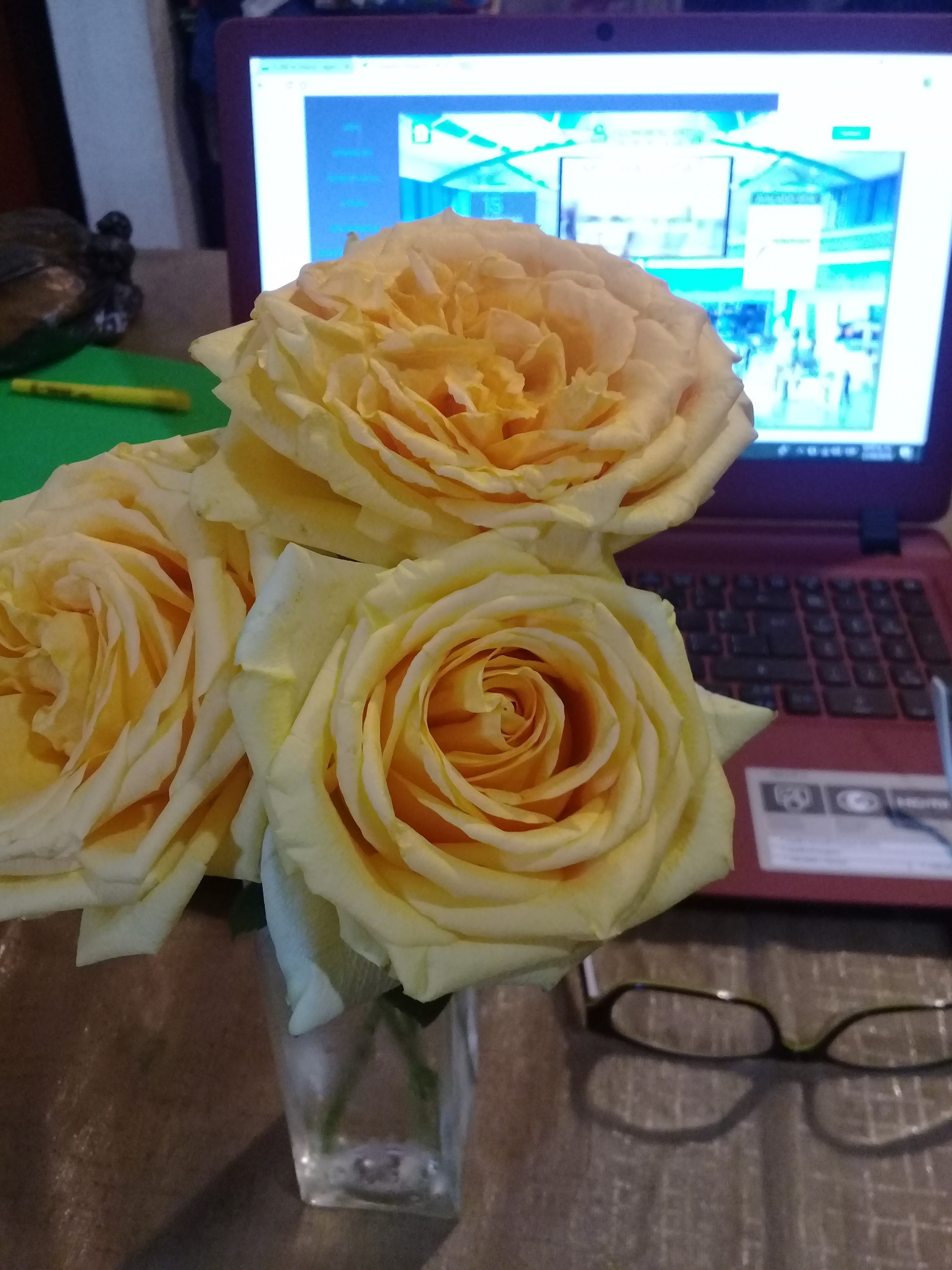 cocina economica cristy image 2