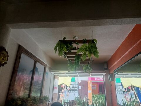Restaurante Cielito Lindo image 5