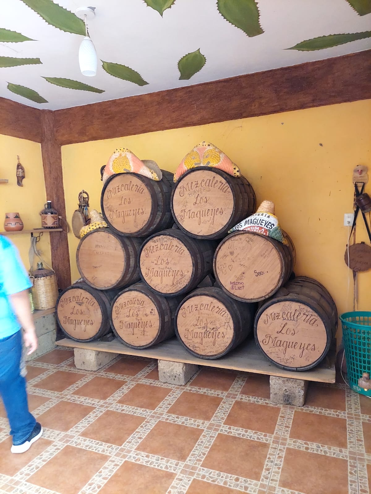 Restaurant Campestre LOS MAGUEYES image 5