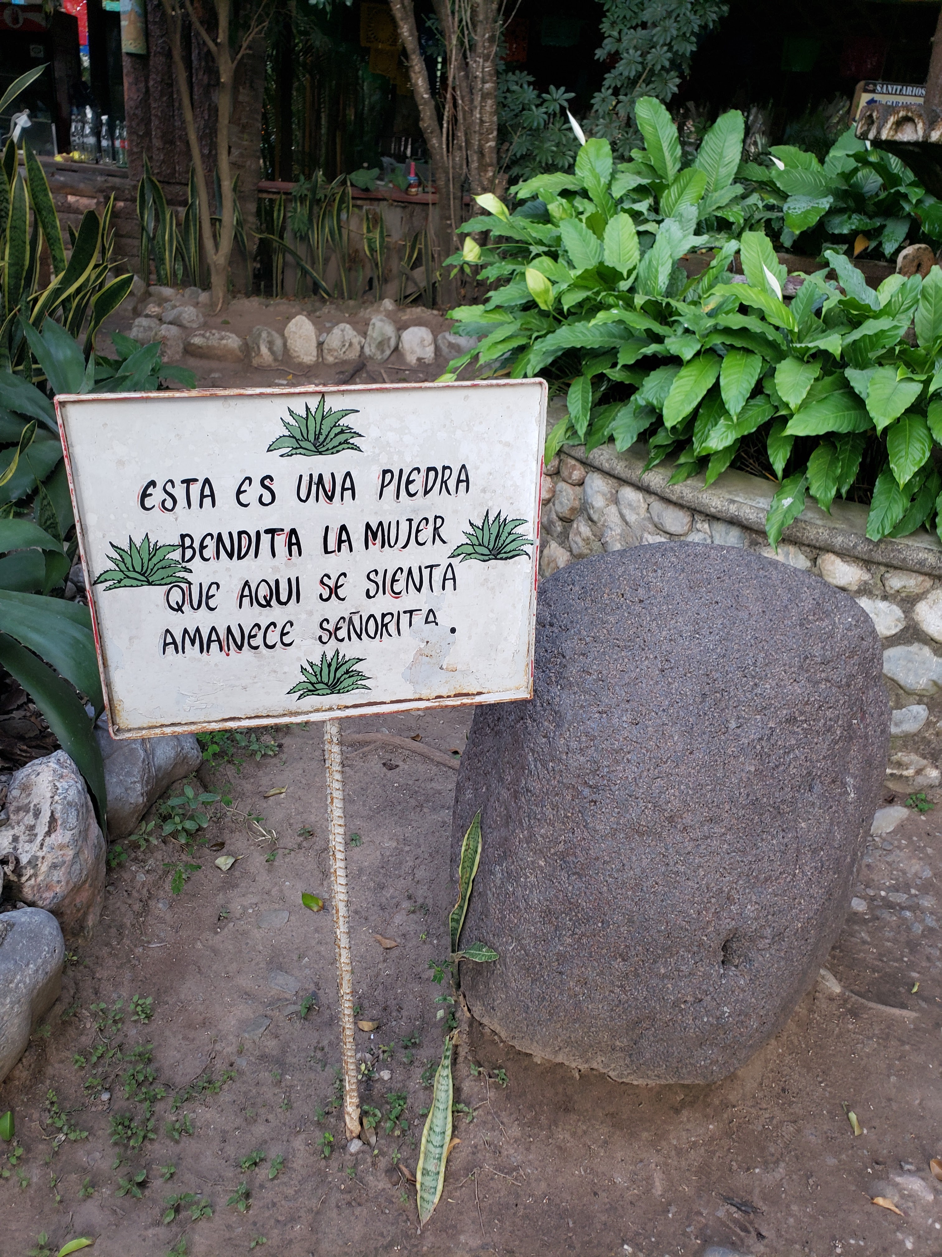 Restaurant Campestre LOS MAGUEYES image 7