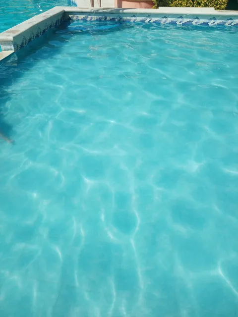 Villa de las flores swimming pool image 5