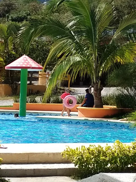 Villa de las flores swimming pool image 6