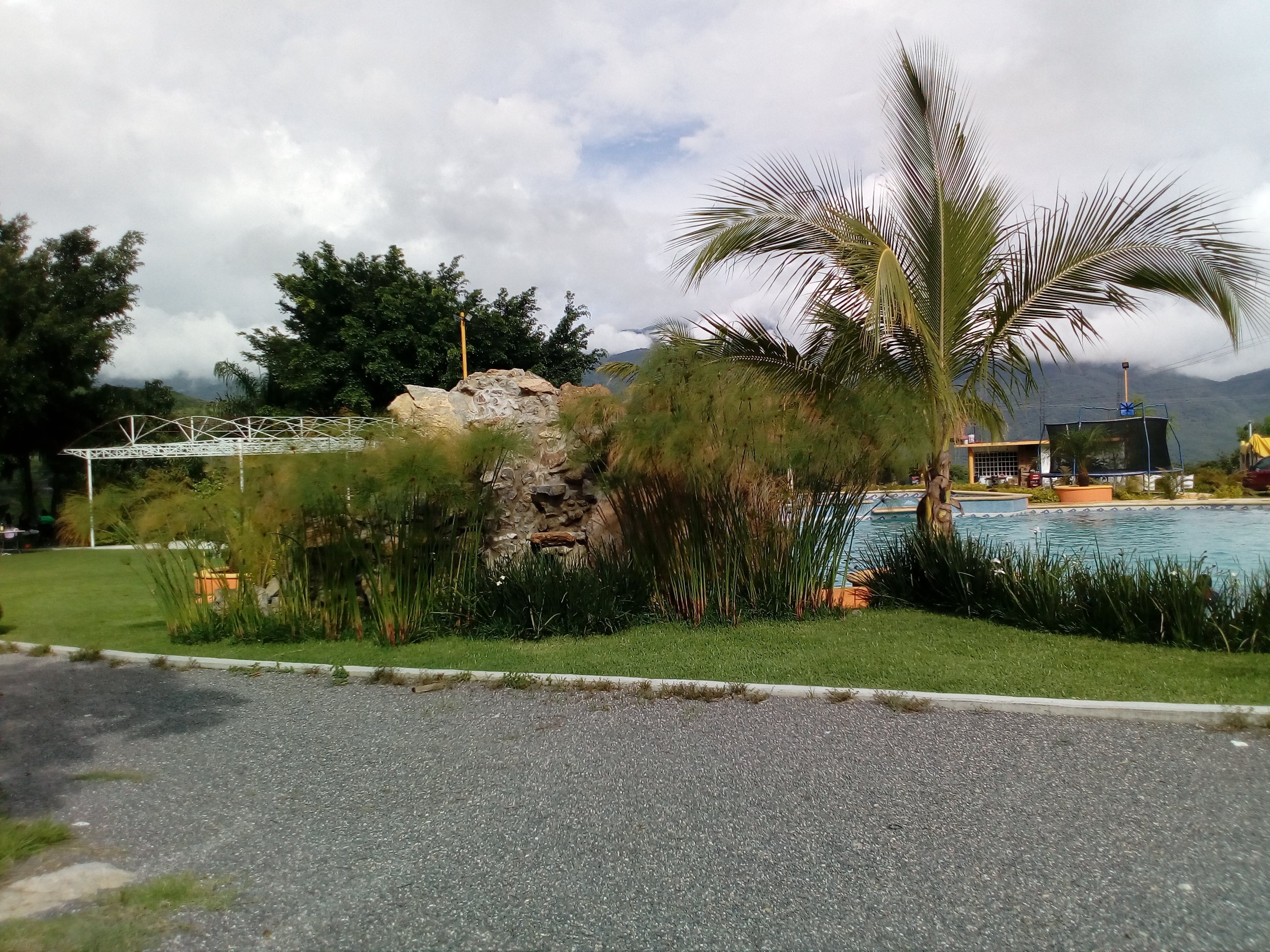 Villa de las flores swimming pool image 8